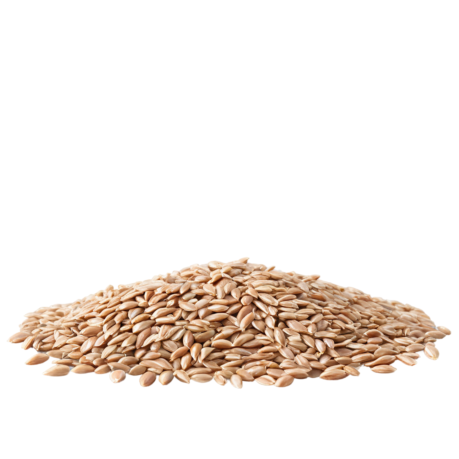 farro grains isolated on transparent background, #6245