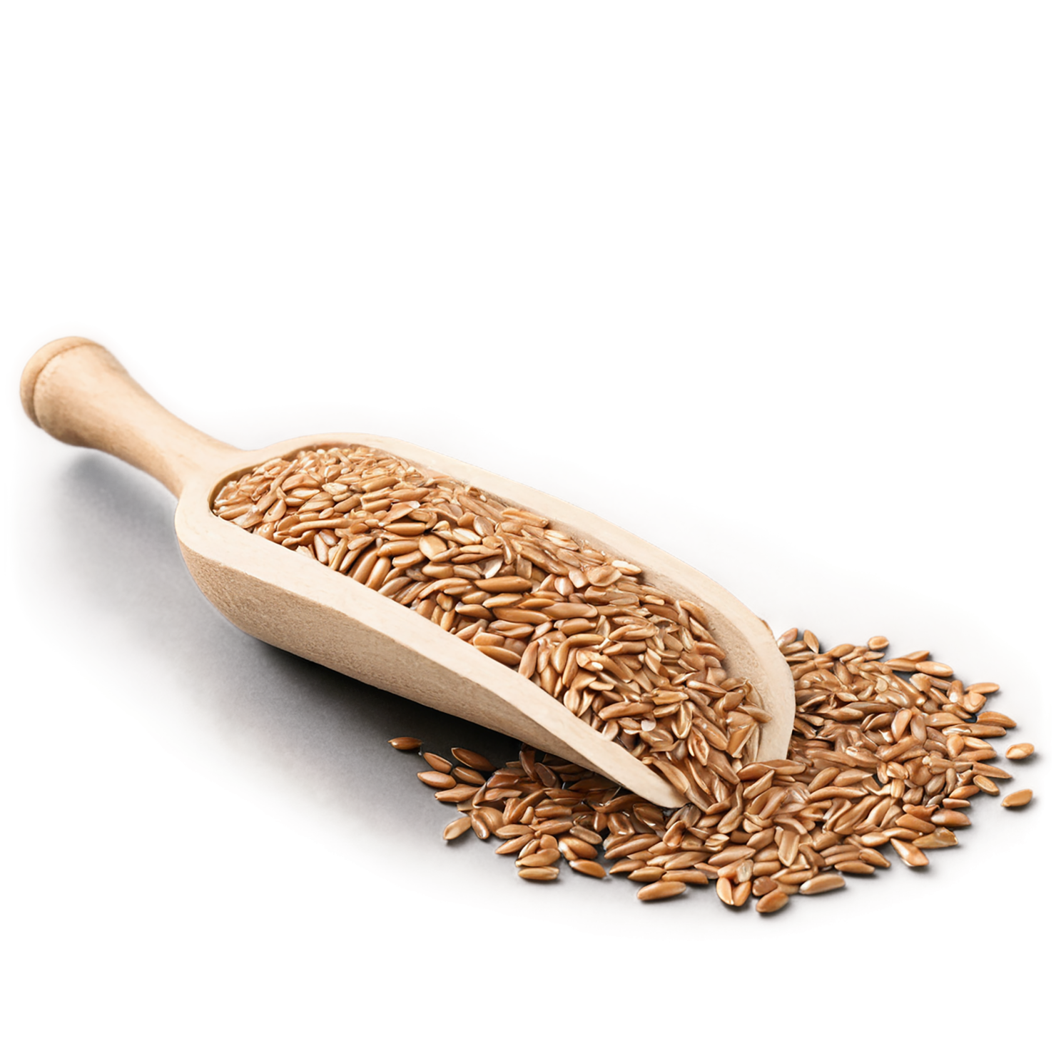 farro grains isolated on transparent background, #6246