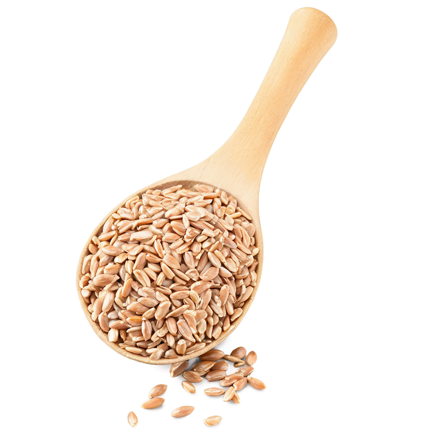farro grains isolated on transparent background, #6247