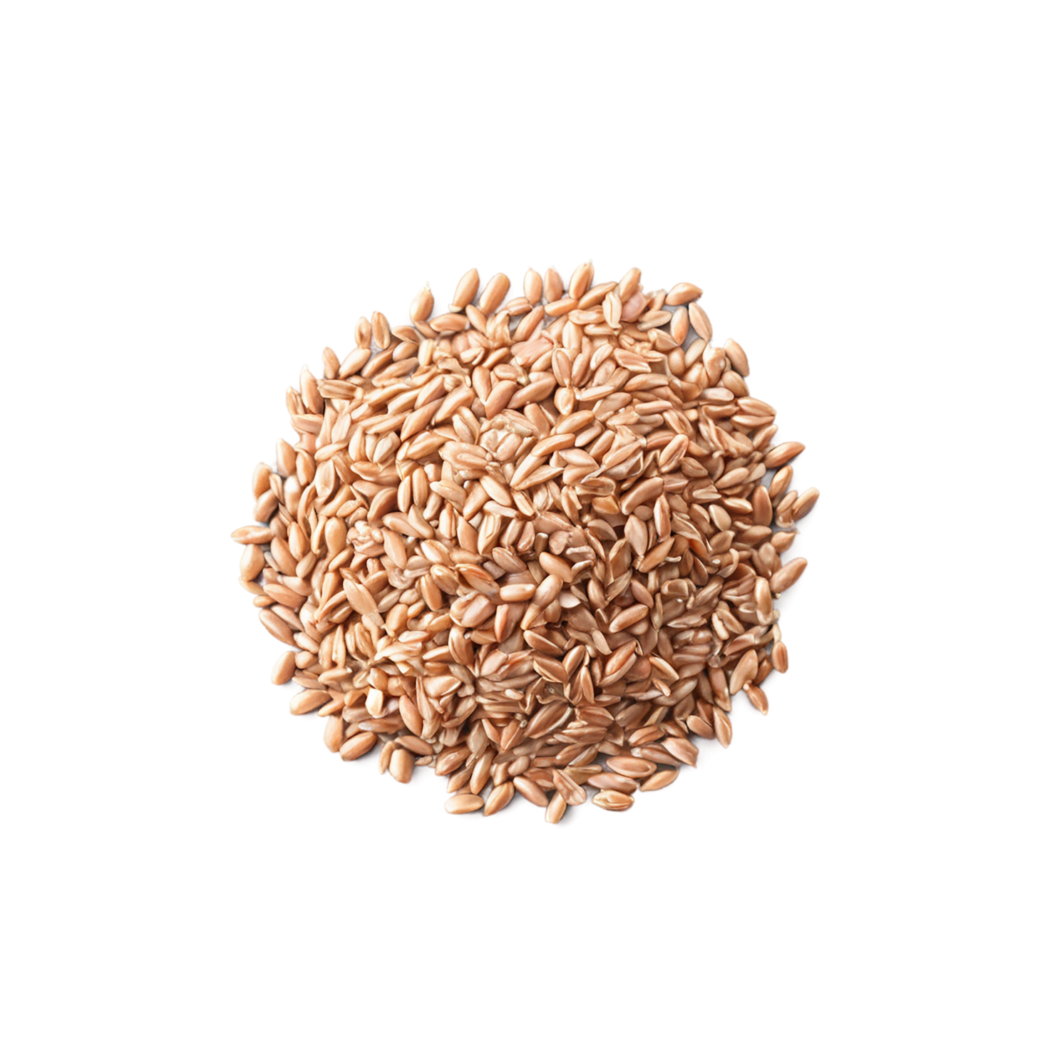 farro grains isolated on transparent background, #6248