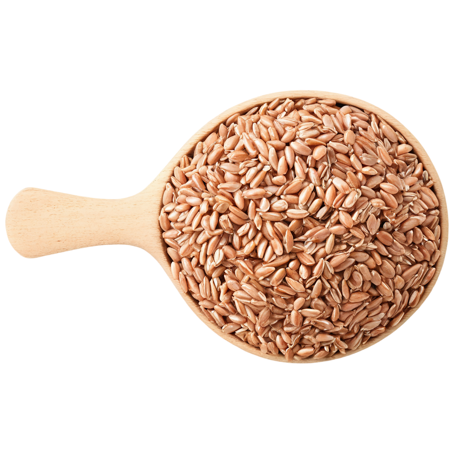 farro grains isolated on transparent background, #6249