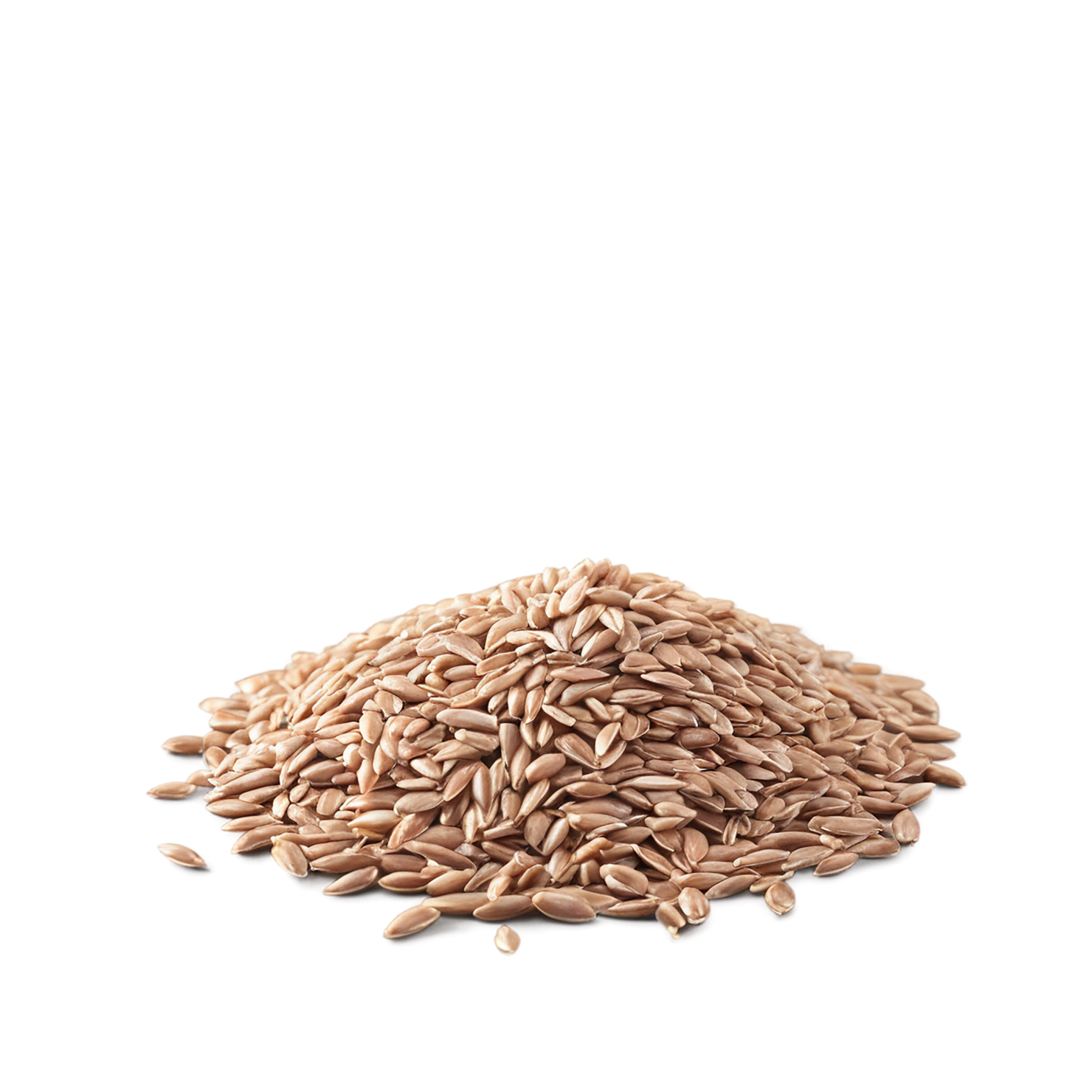 farro grains isolated on transparent background, #6250