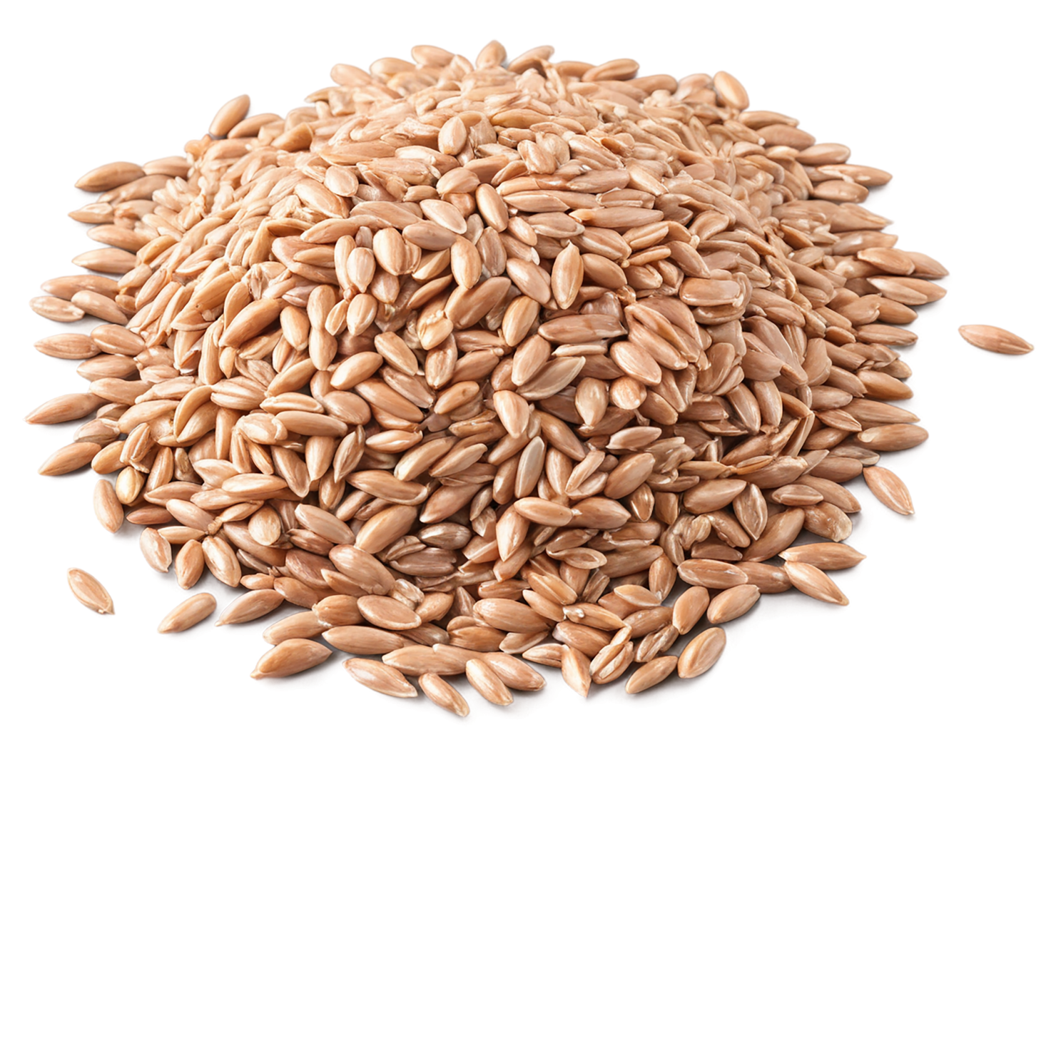 farro grains isolated on transparent background, #6251