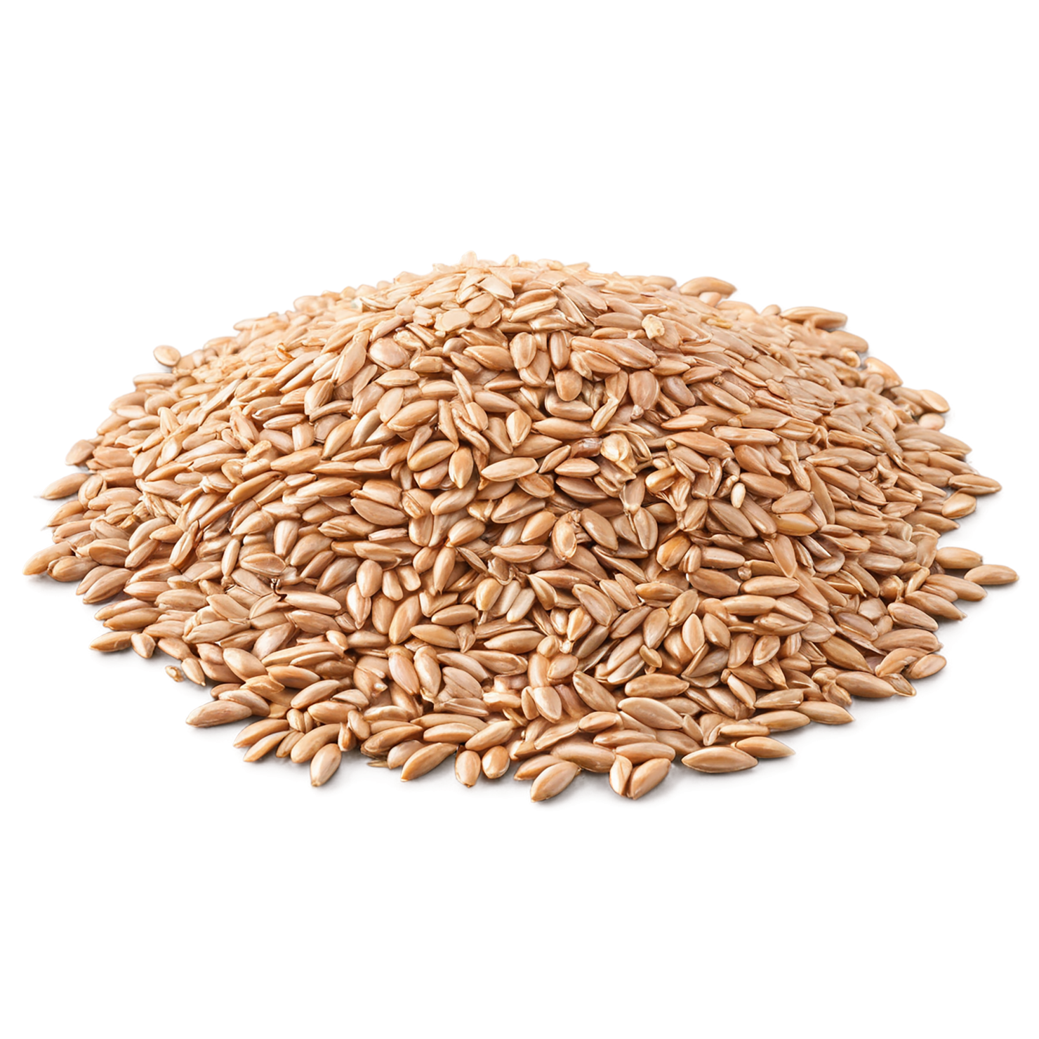 farro grains isolated on transparent background, #6252