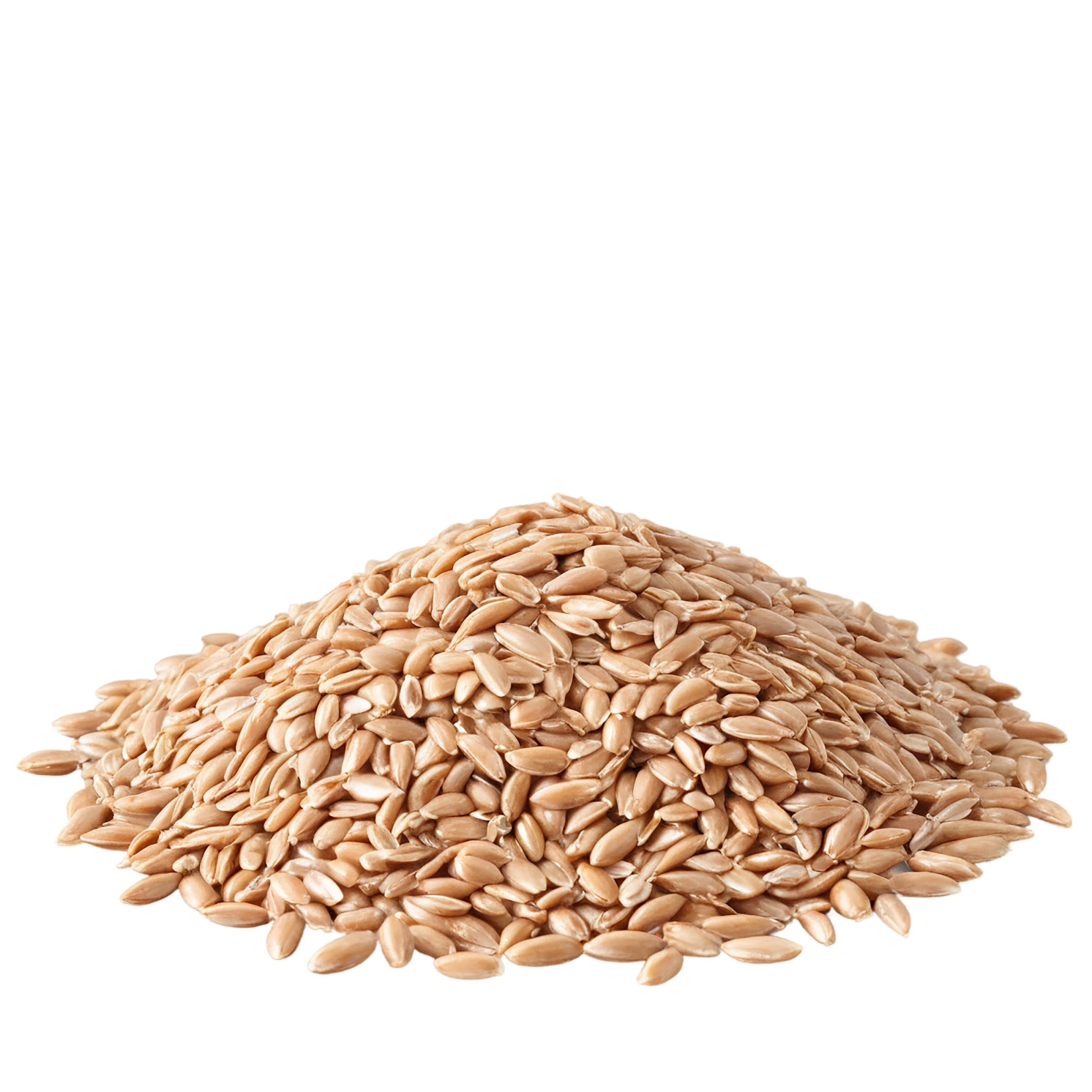farro grains isolated on transparent background, #6253