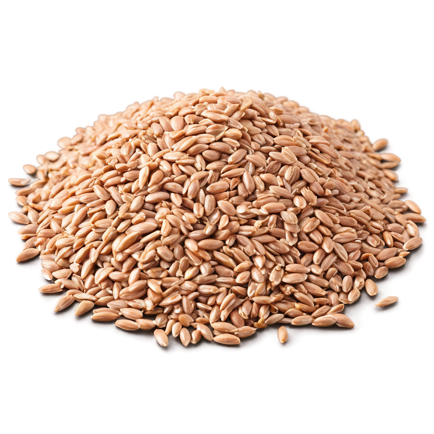 farro grains isolated on transparent background, #6258