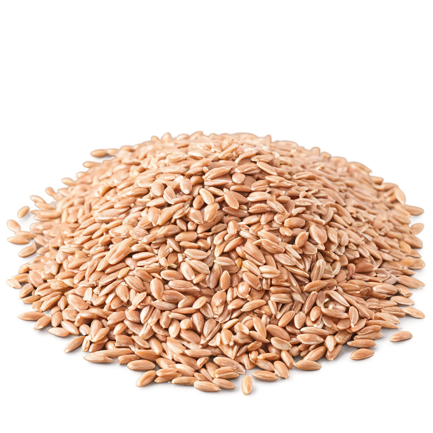 farro grains isolated on transparent background, #6262