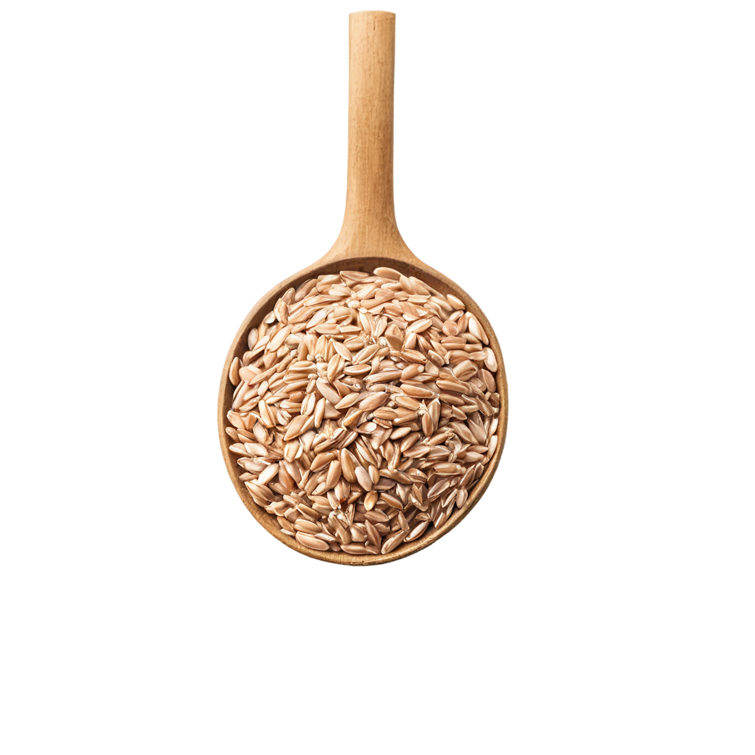 farro grains isolated on transparent background, #6263