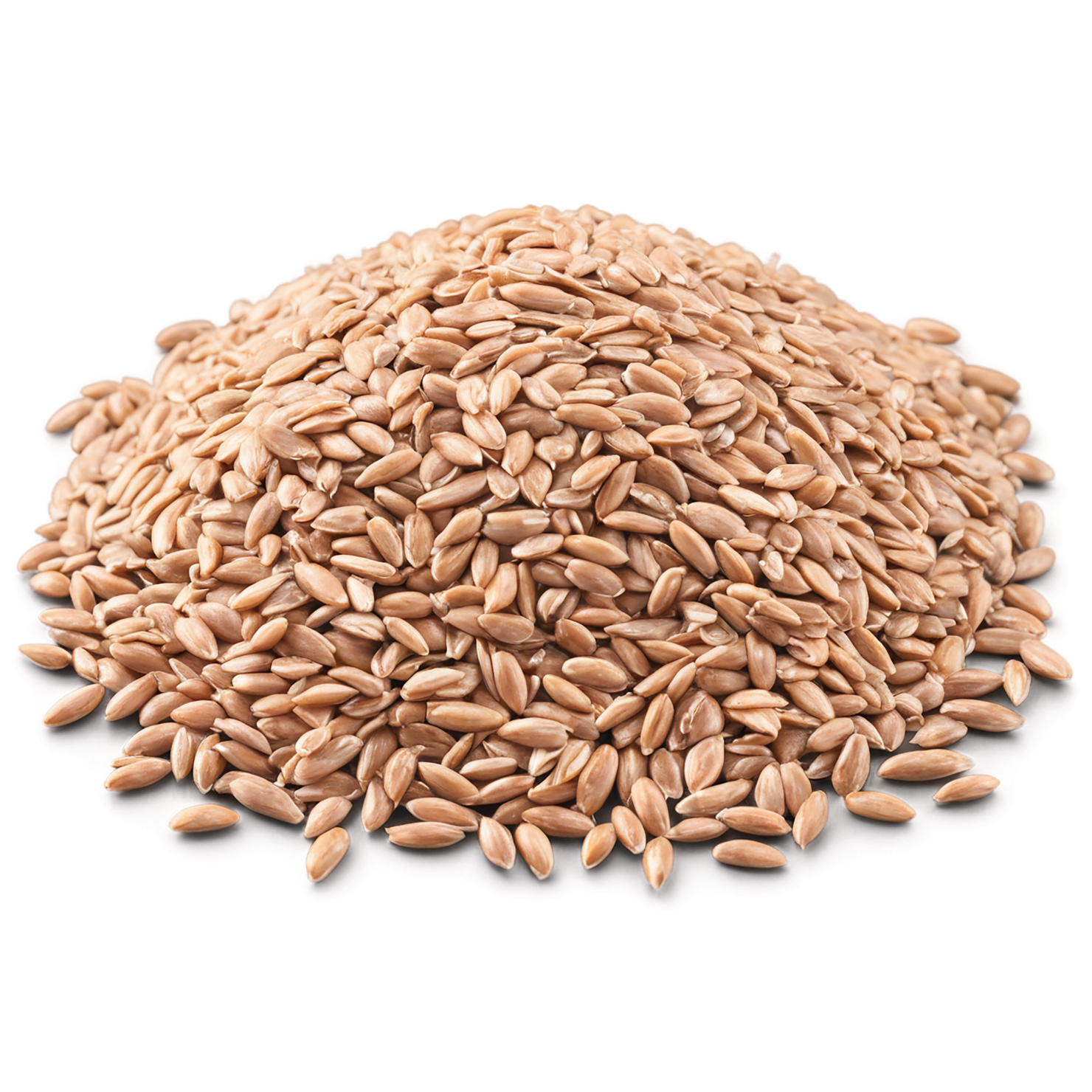 farro grains isolated on transparent background, #6265