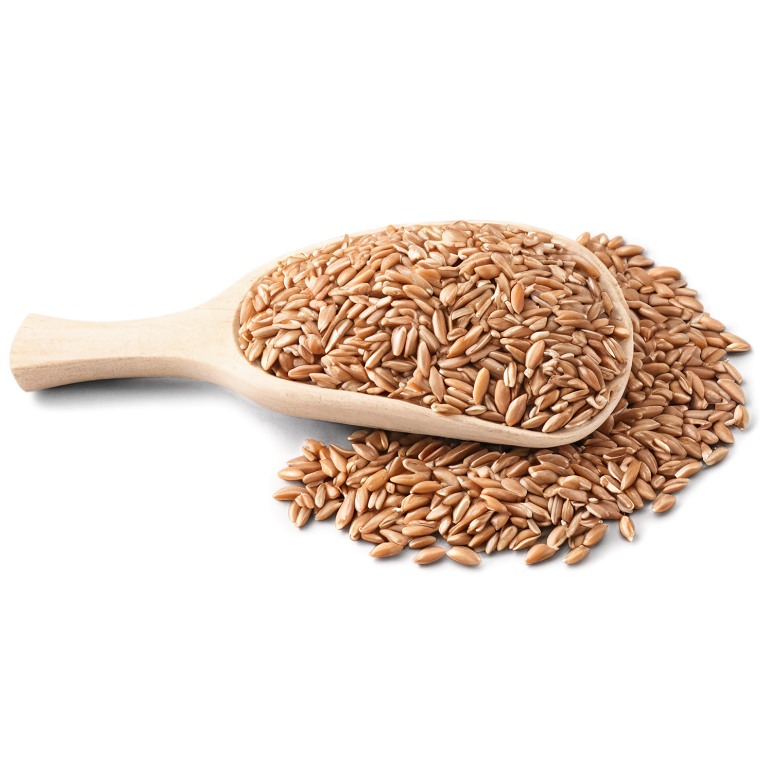 farro grains isolated on transparent background, #6268