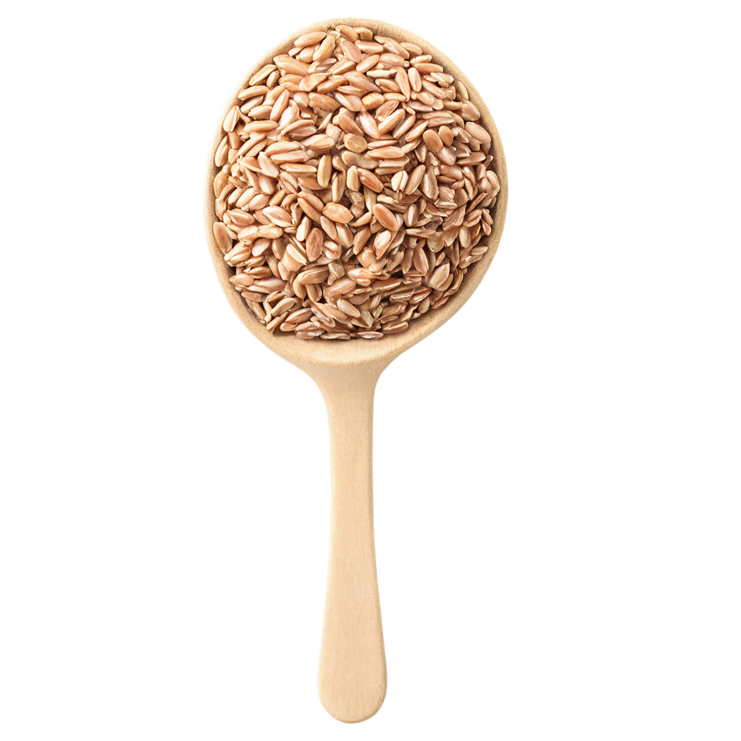 farro grains isolated on transparent background, #6269