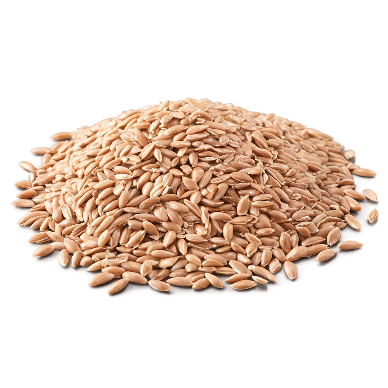 farro grains isolated on transparent background, #6270