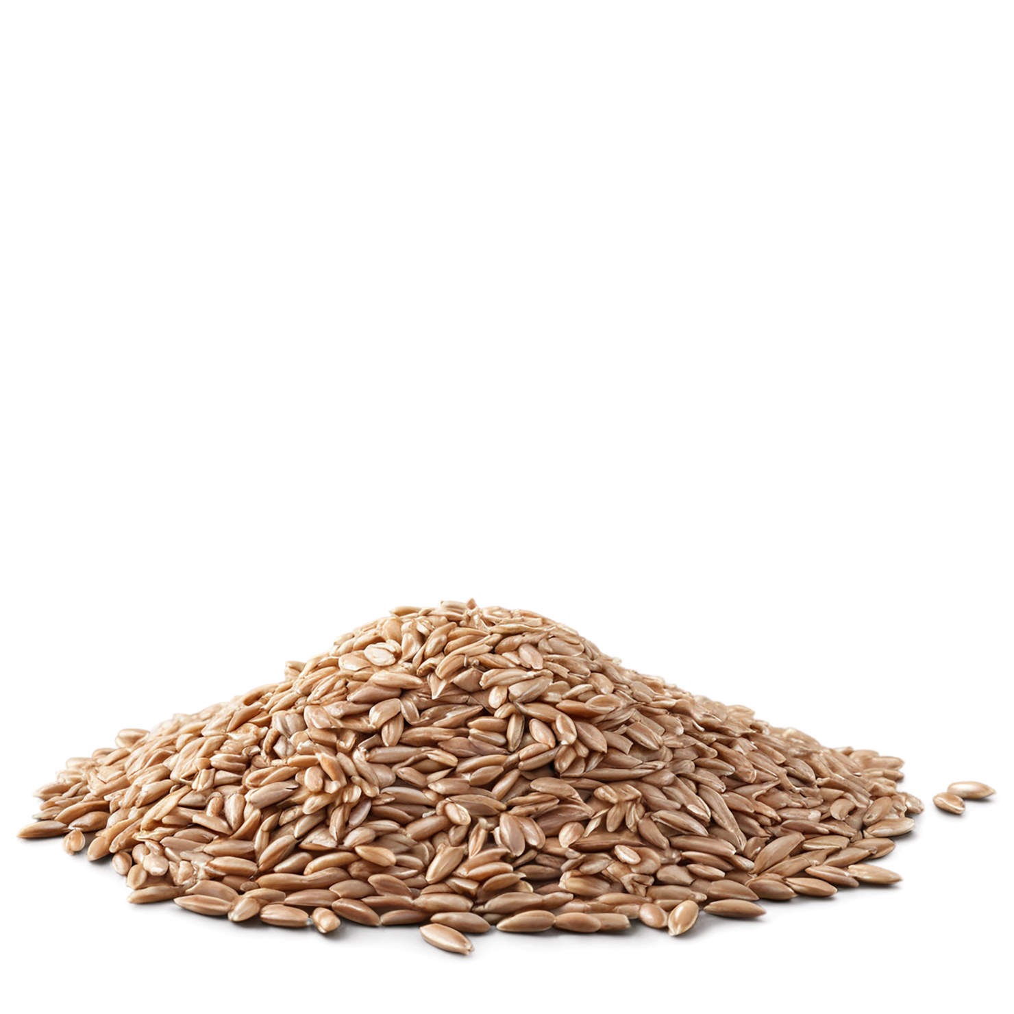farro grains isolated on transparent background, #6272