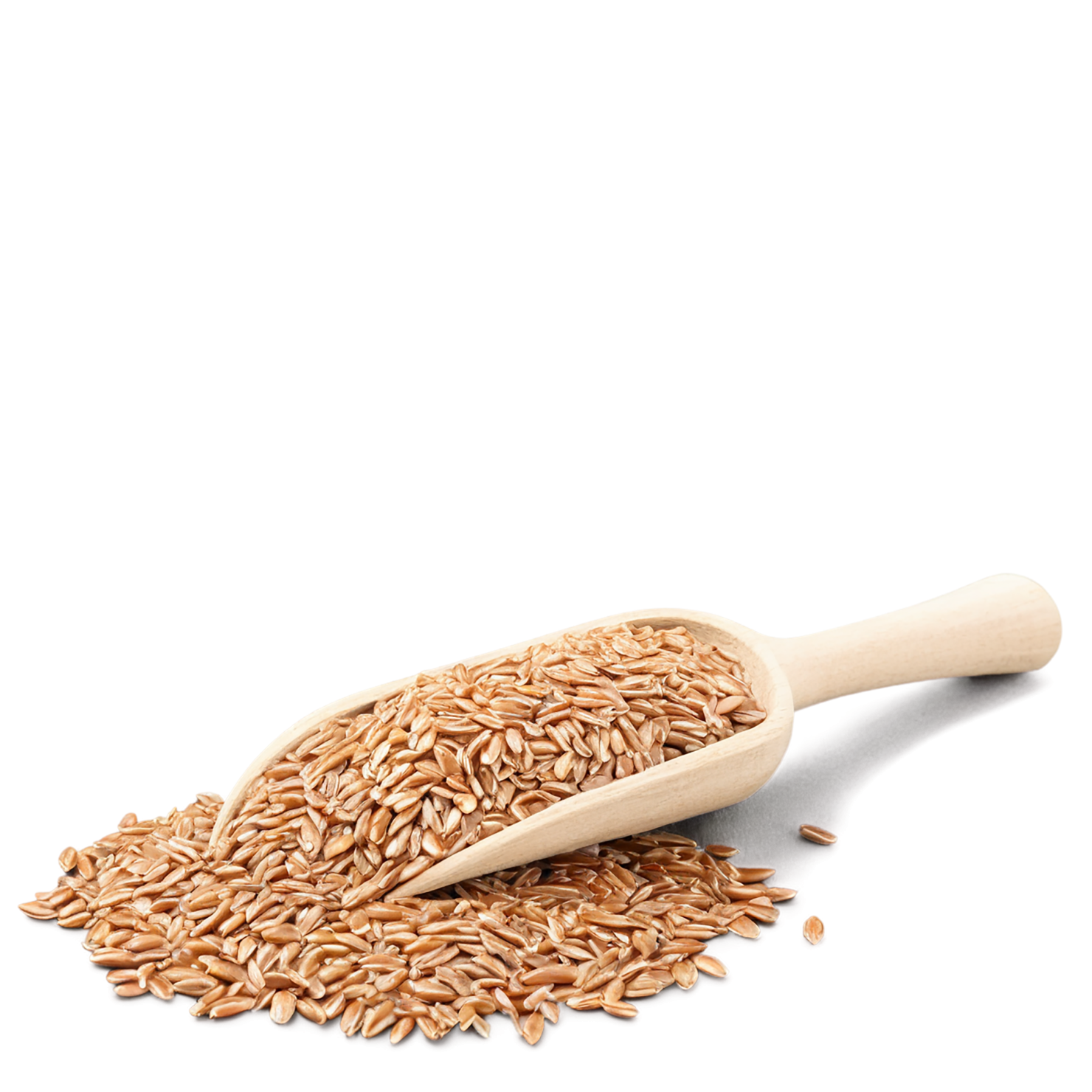 farro grains isolated on transparent background, #6273