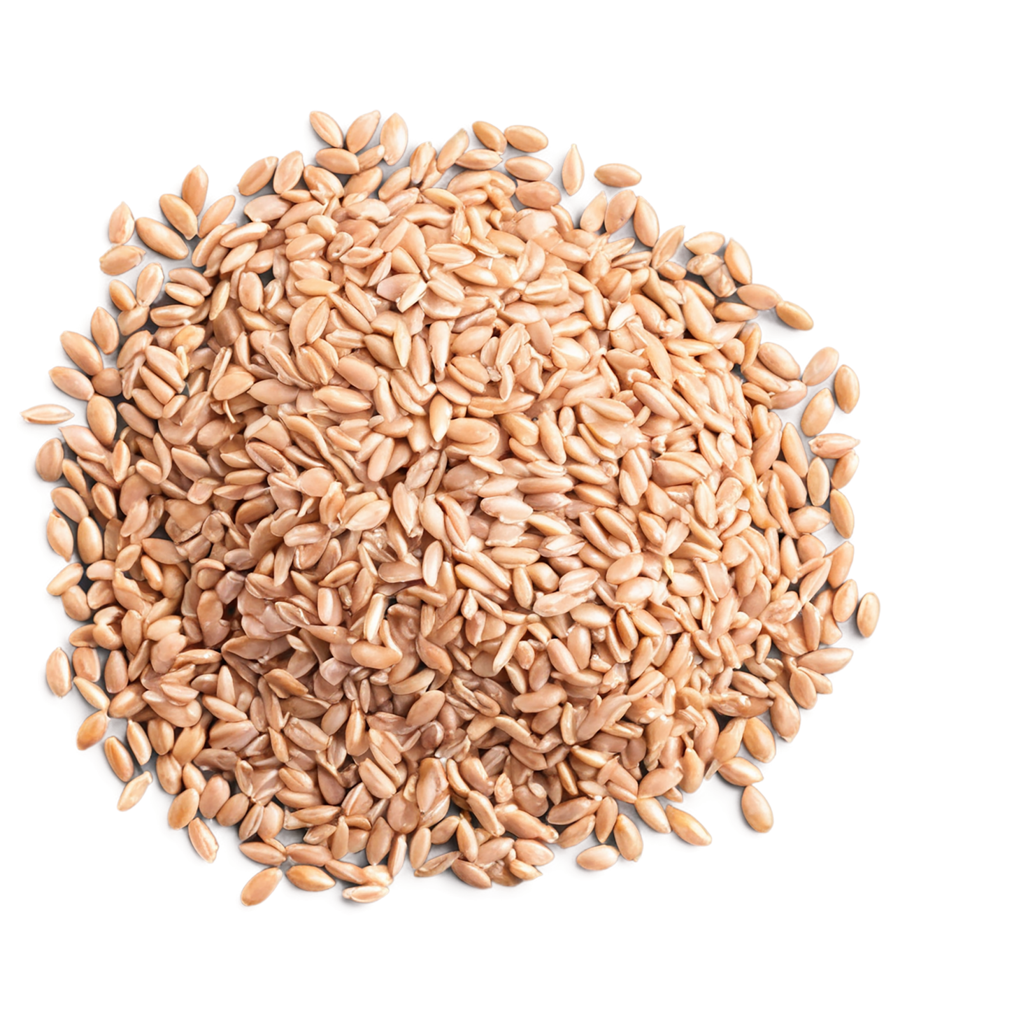 farro grains isolated on transparent background, #6274