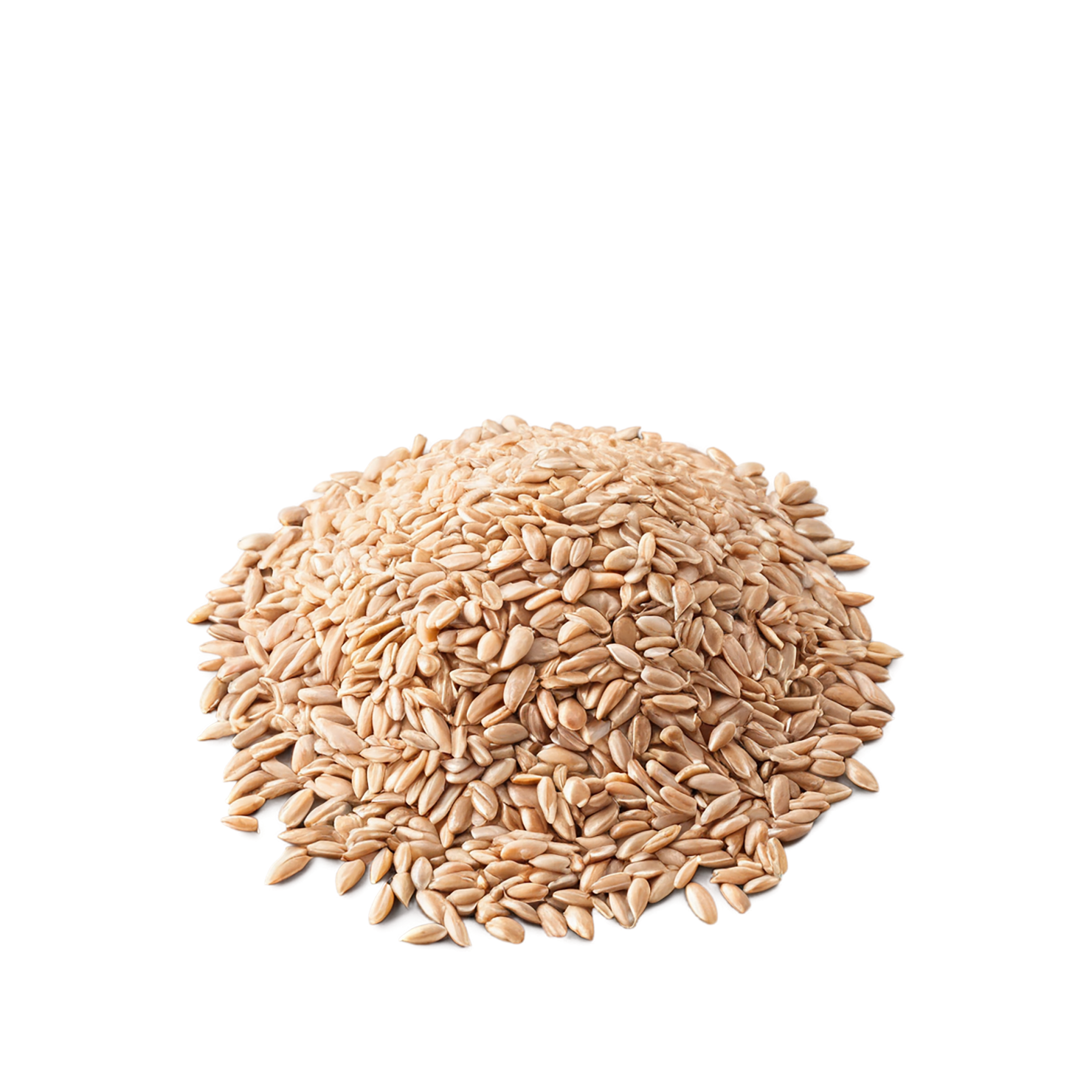 farro grains isolated on transparent background, #6275