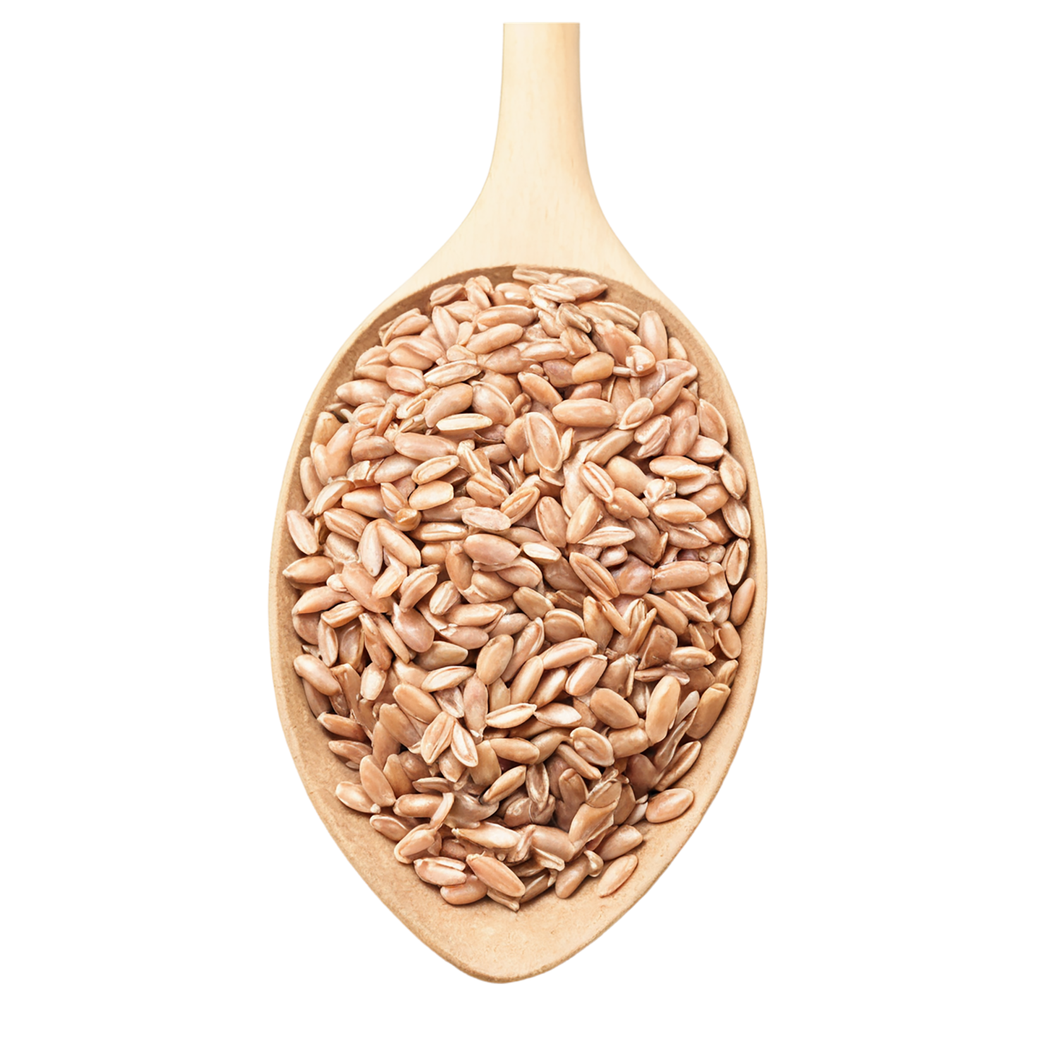 farro grains isolated on transparent background, #6277