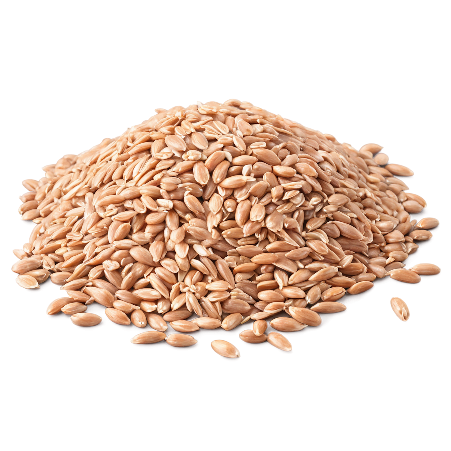farro grains isolated on transparent background, #6278