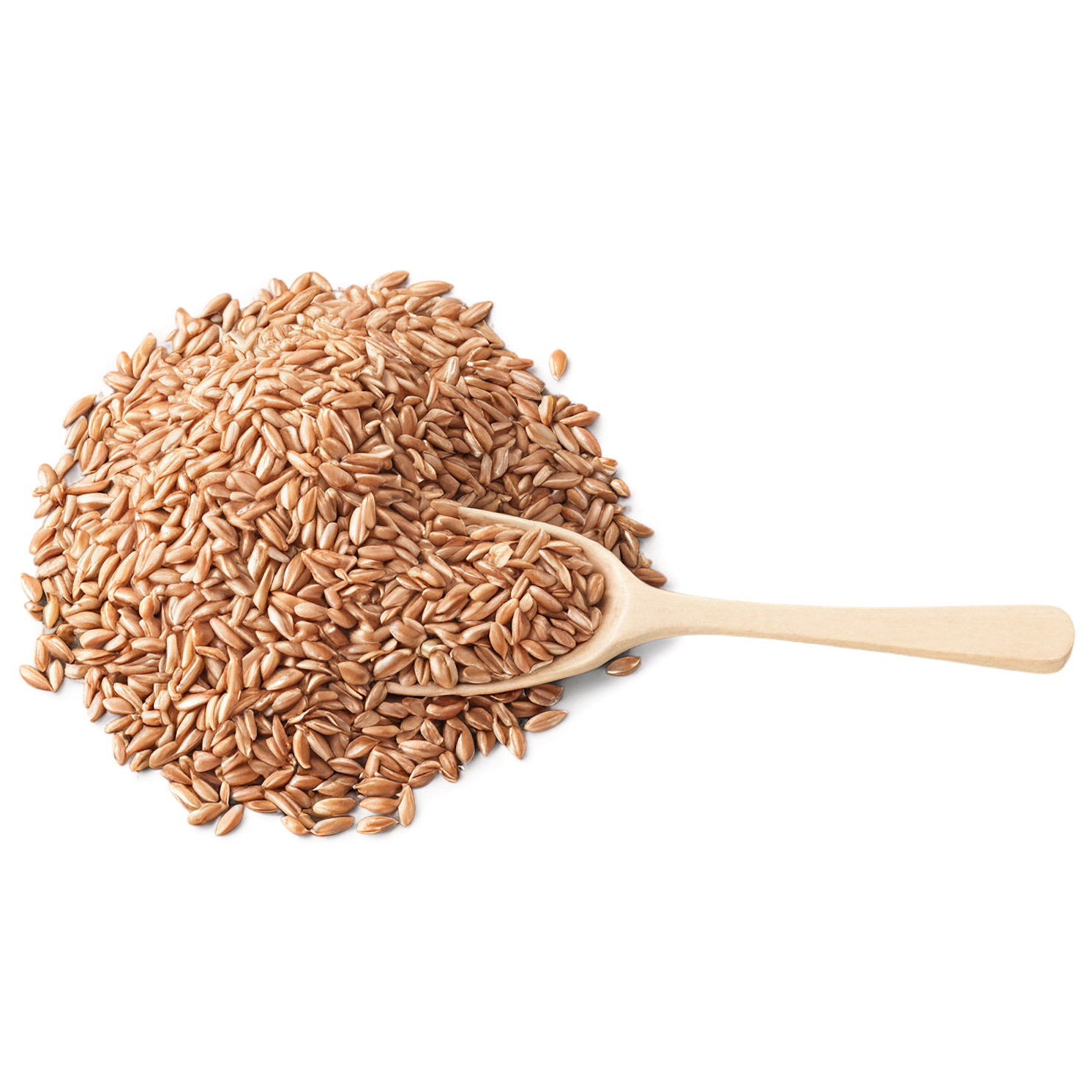 farro grains isolated on transparent background, #6280
