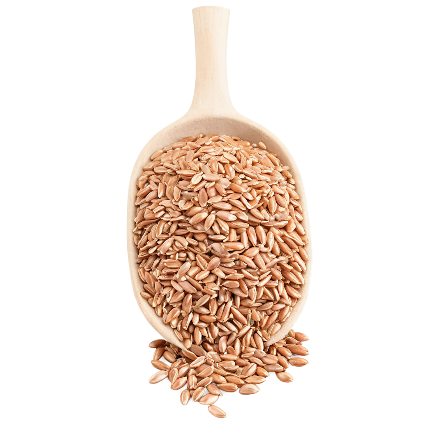 farro grains isolated on transparent background, #6282