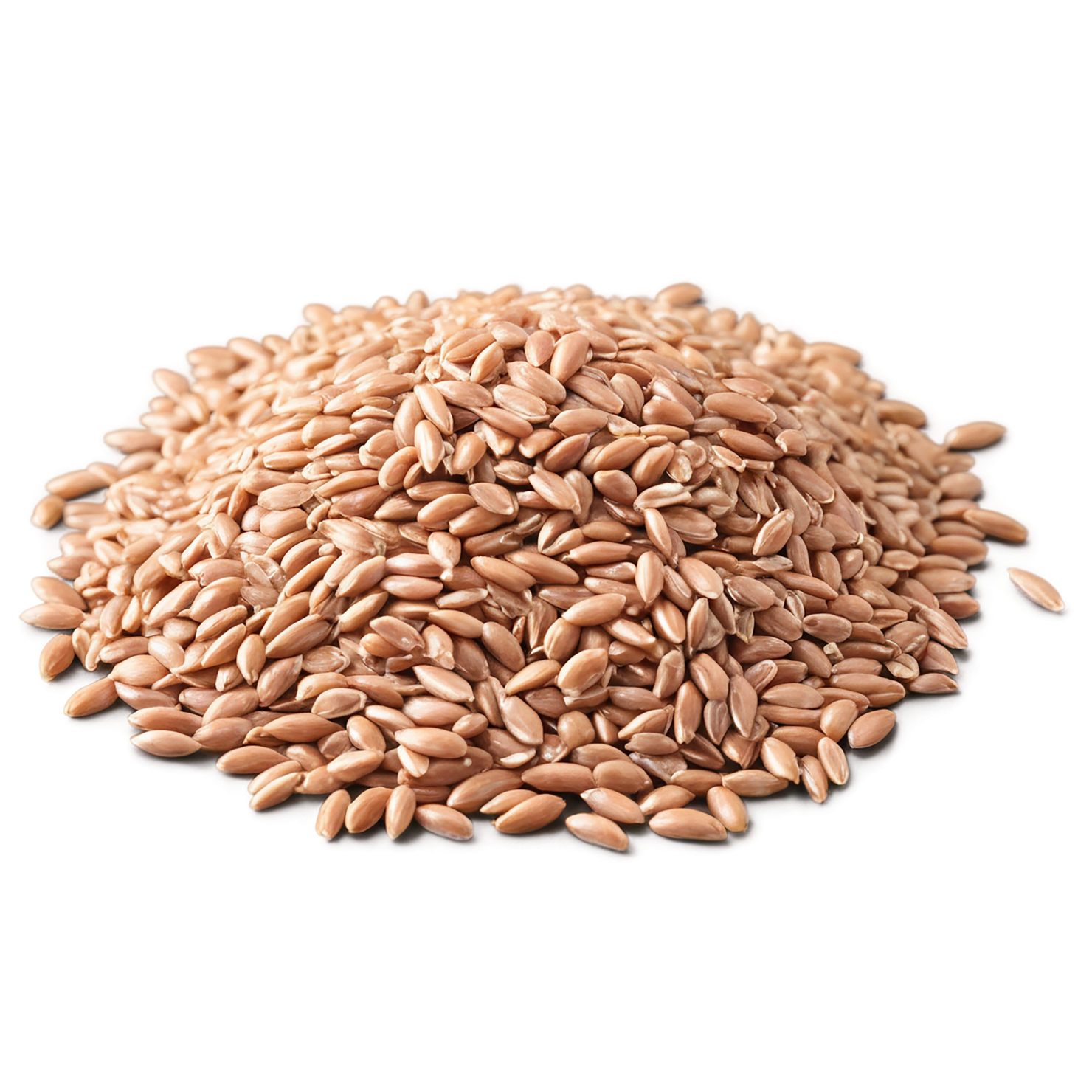 farro grains isolated on transparent background, #6283