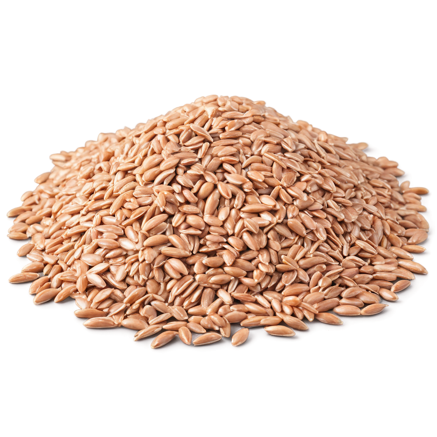 farro grains isolated on transparent background, #6284
