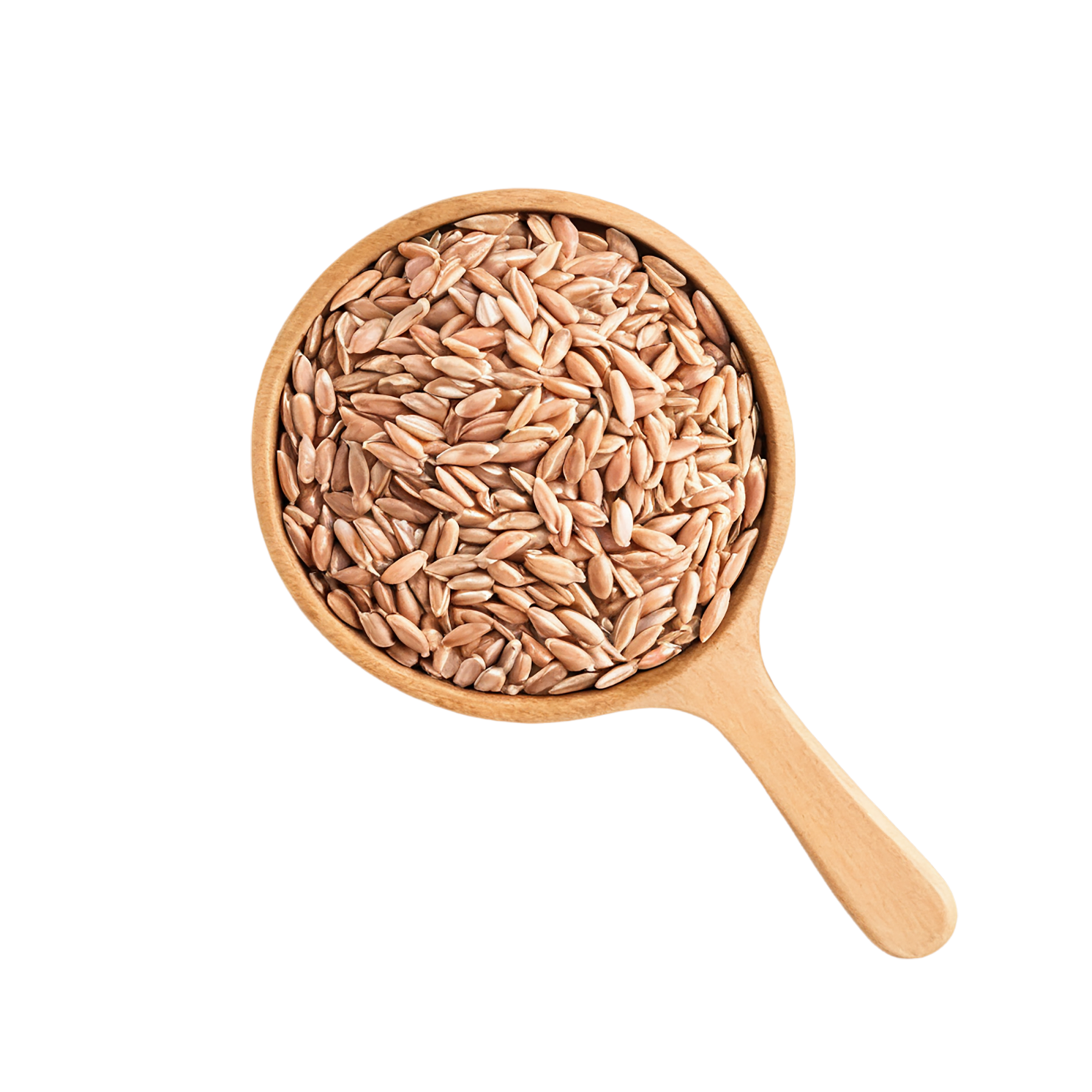 farro grains isolated on transparent background, #6285