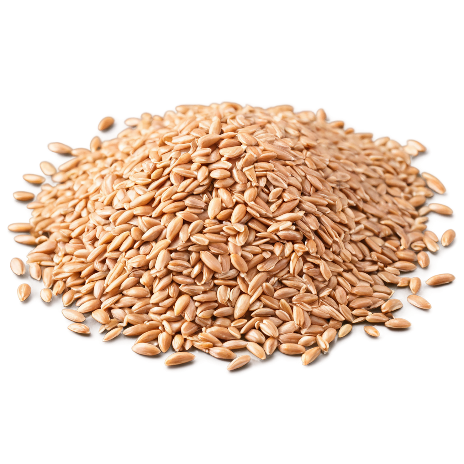 farro grains isolated on transparent background, #6287