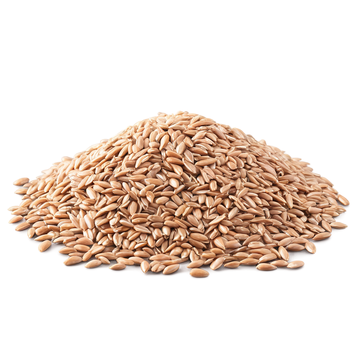 farro grains isolated on transparent background, #6288