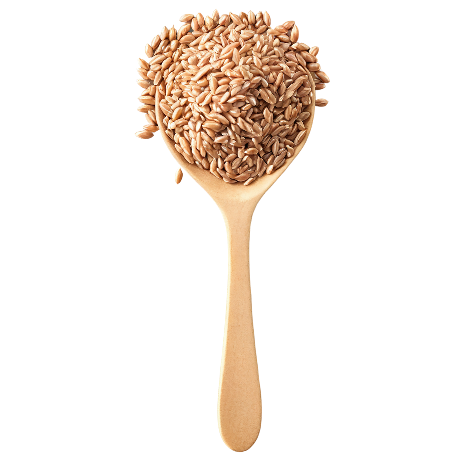 farro grains isolated on transparent background, #6289