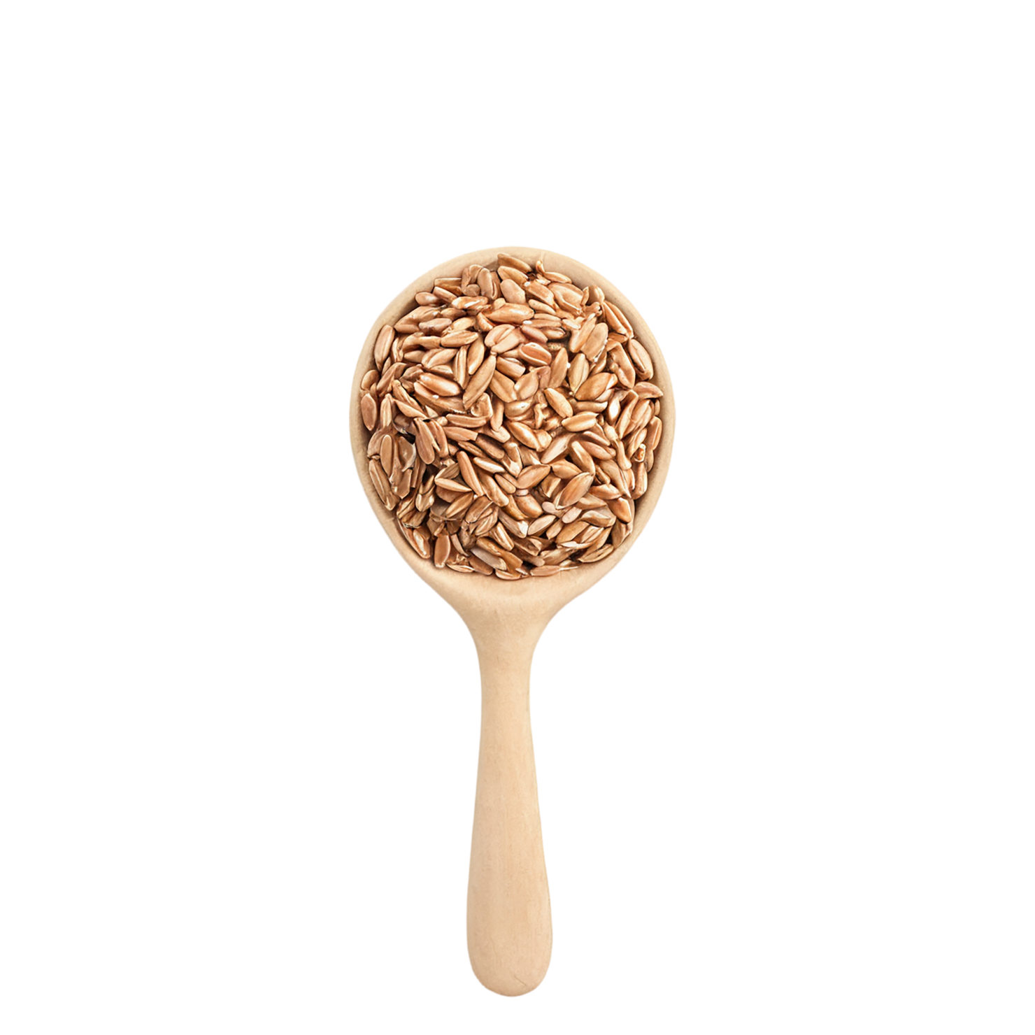 farro grains isolated on transparent background, #6293