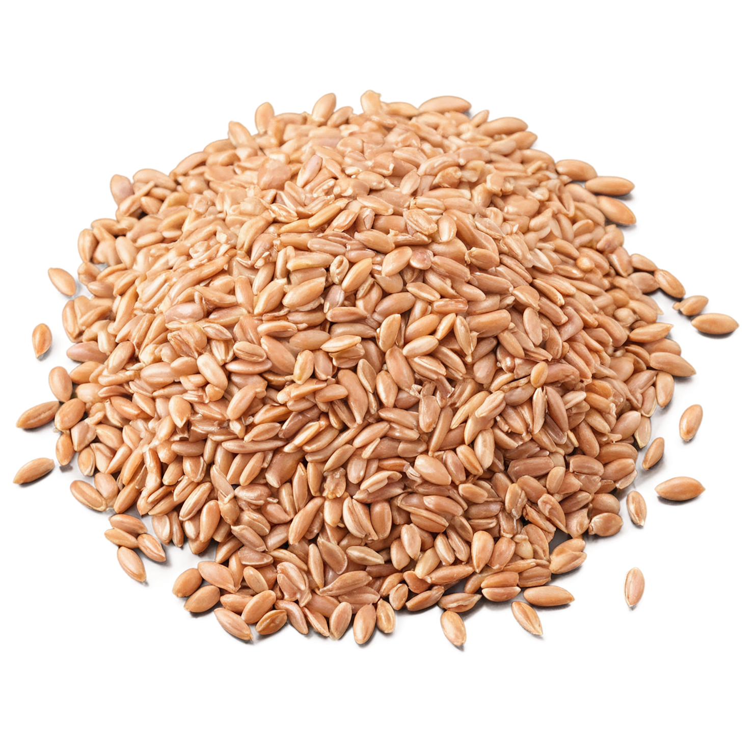 farro grains isolated on transparent background, #6294