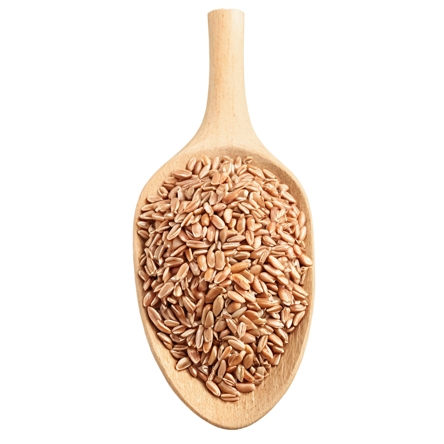 farro grains isolated on transparent background, #6297
