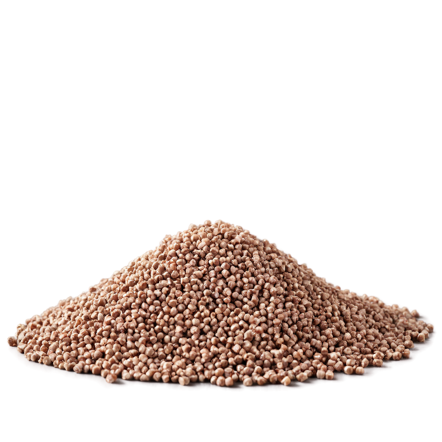 Buckwheat grains isolated on transparent background, #6497