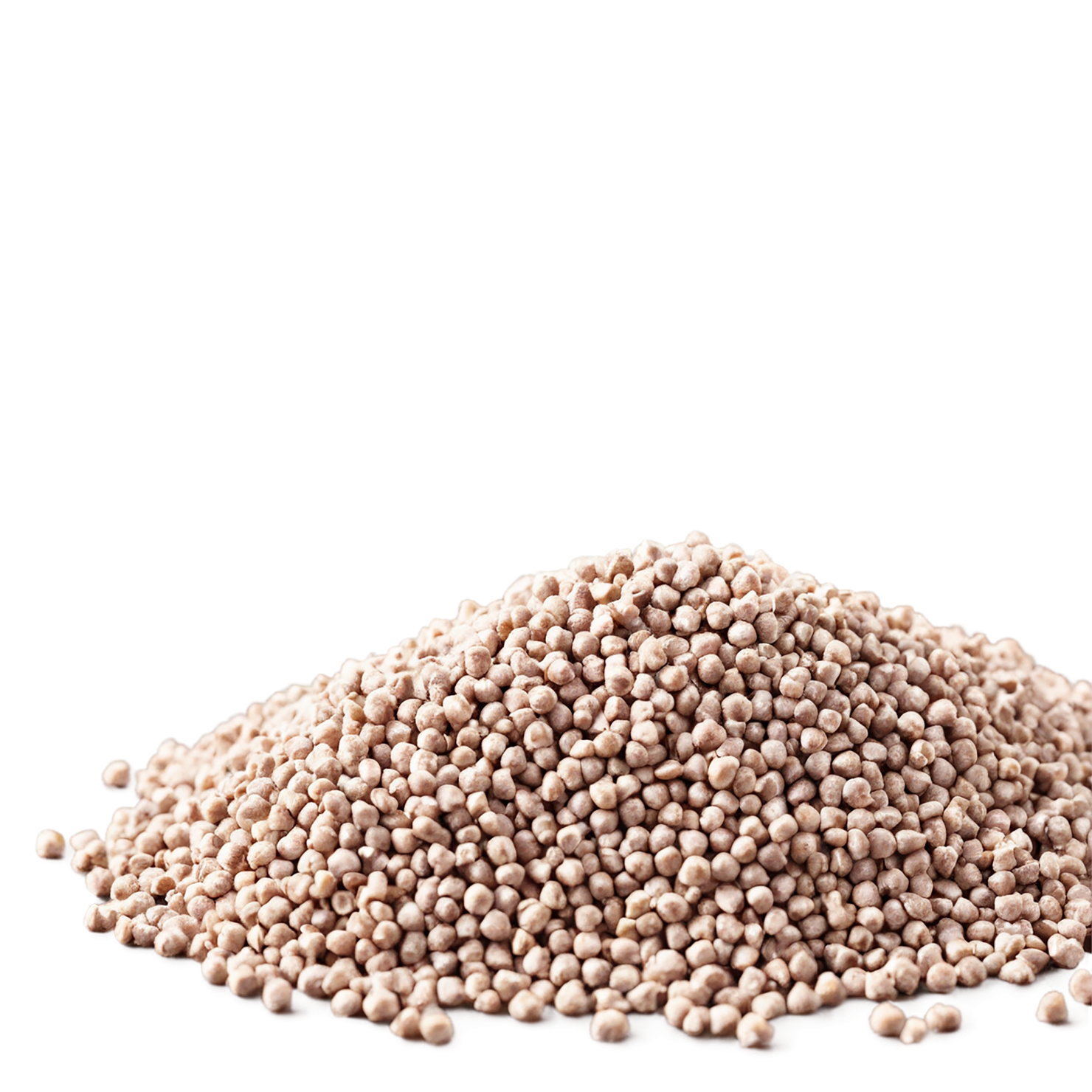 Buckwheat grains isolated on transparent background, #6499
