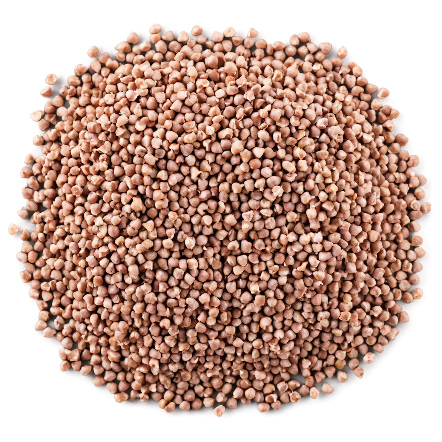 Buckwheat grains isolated on transparent background, #6502