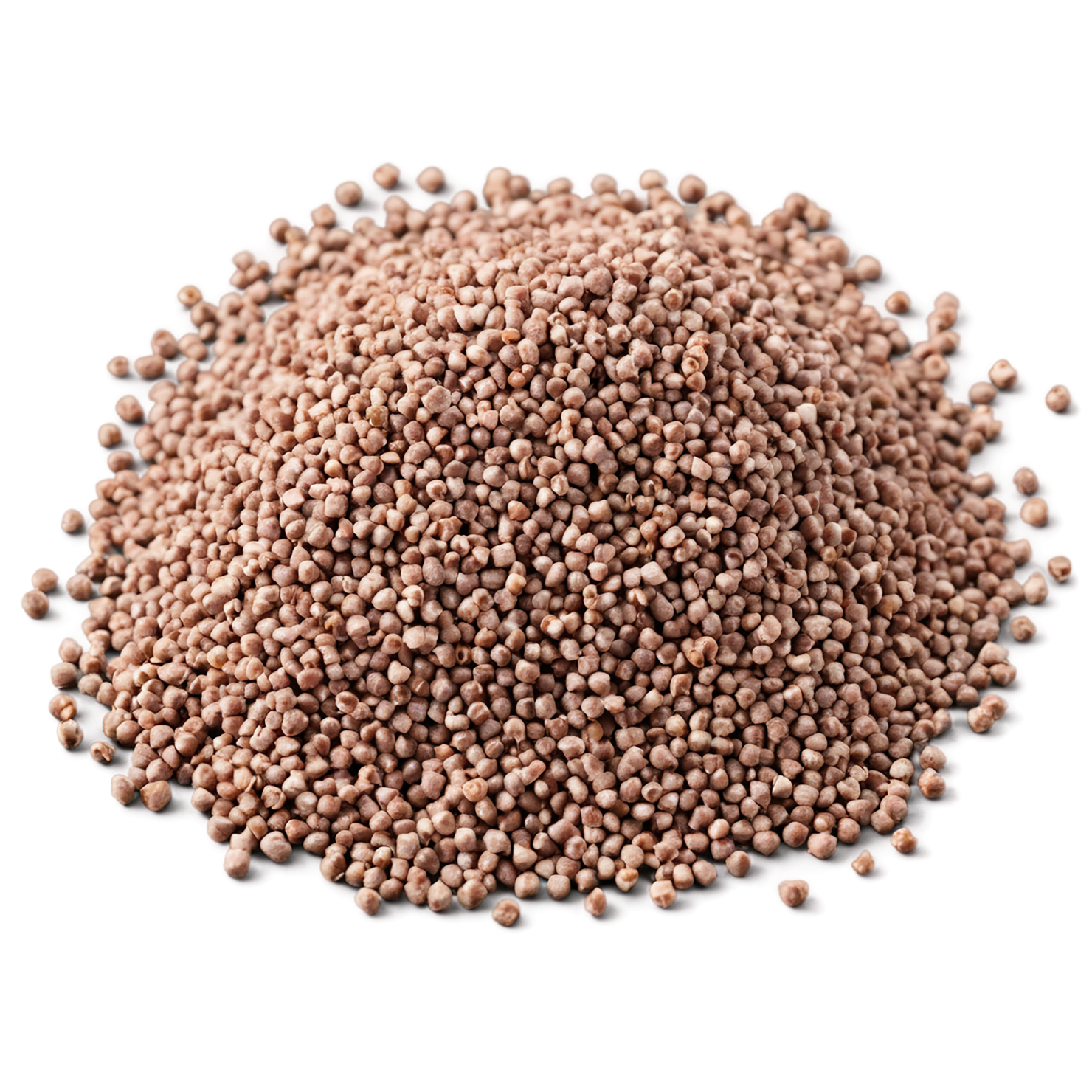 Buckwheat grains isolated on transparent background, #6503
