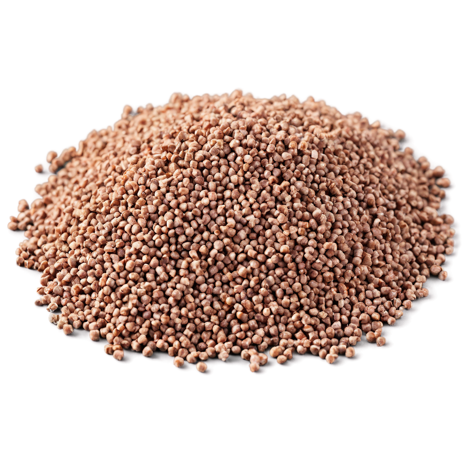 Buckwheat grains isolated on transparent background, #6504