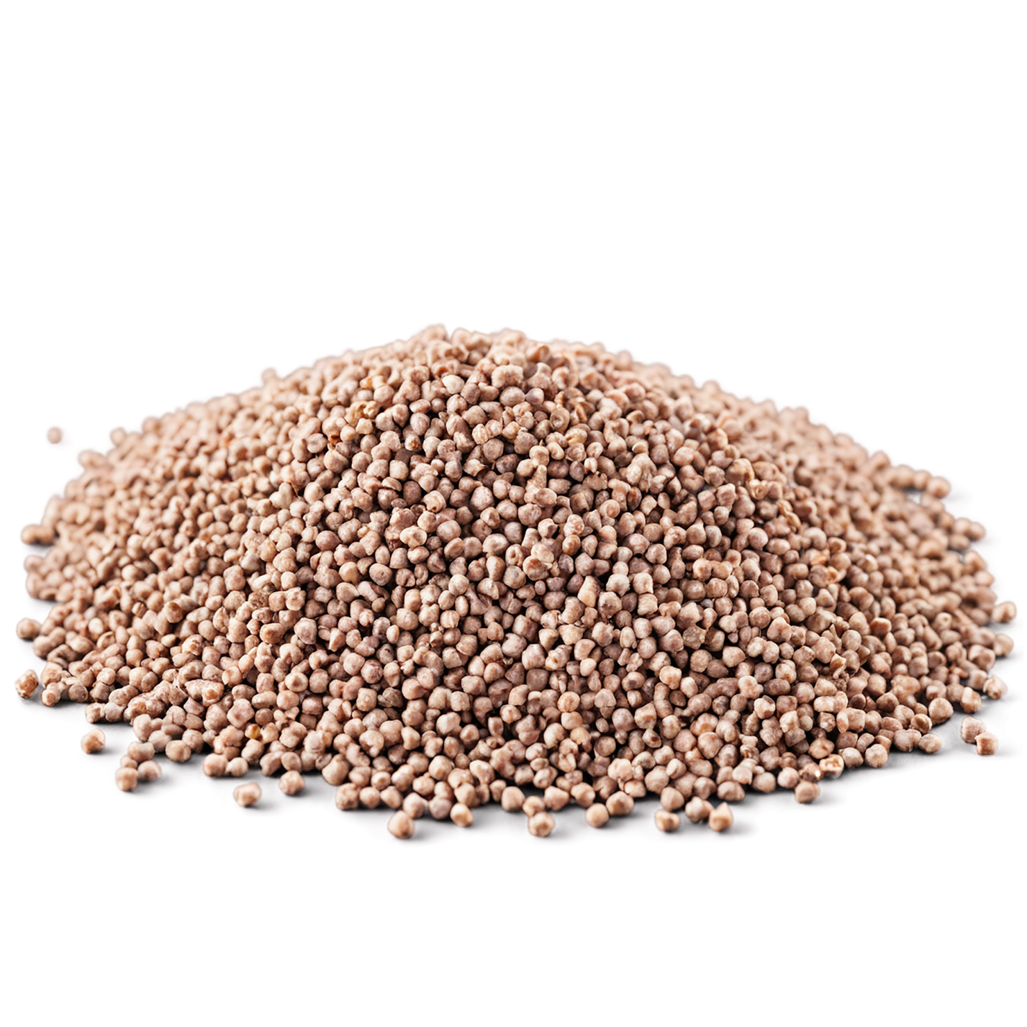 Buckwheat grains isolated on transparent background, #6507