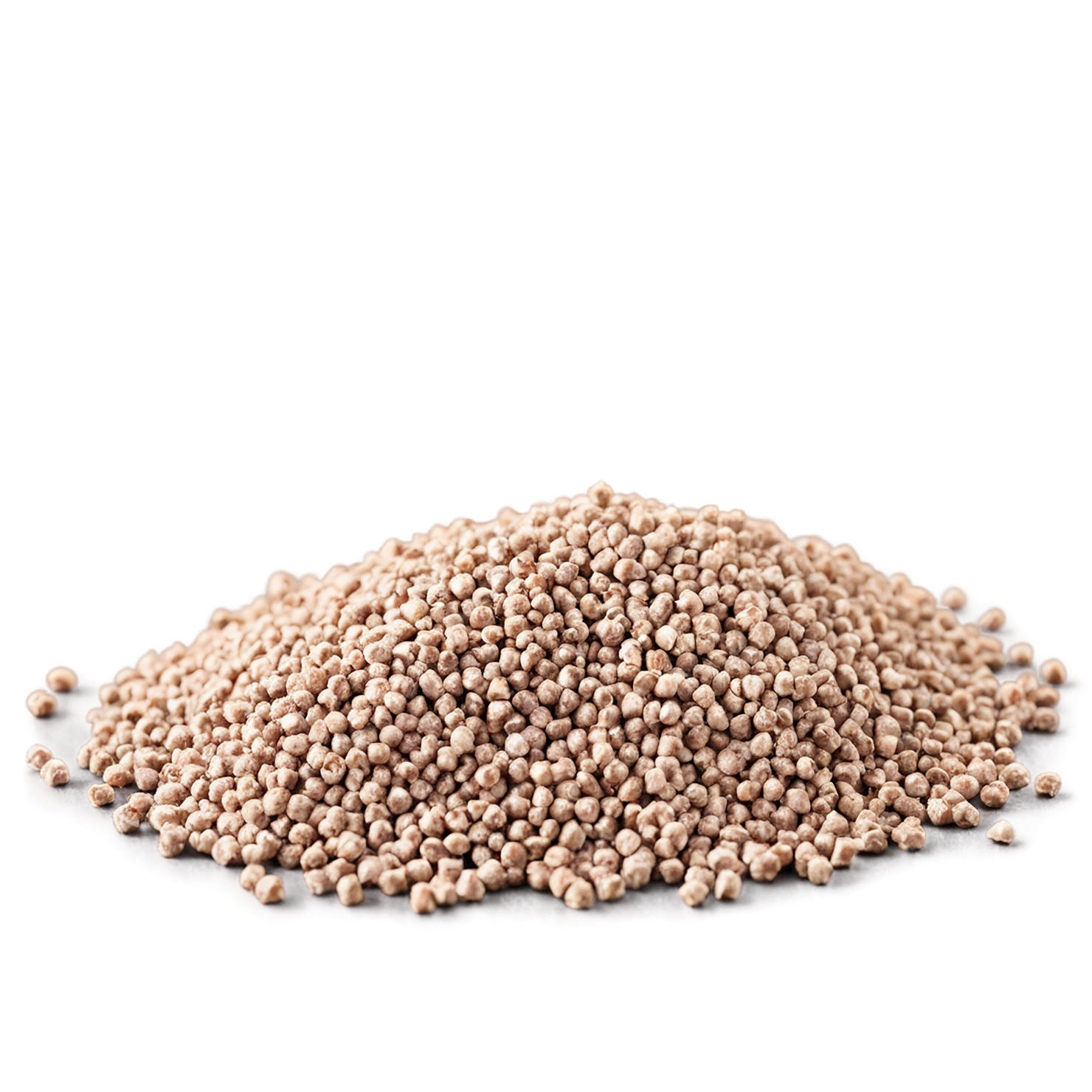 Buckwheat grains isolated on transparent background, #6510