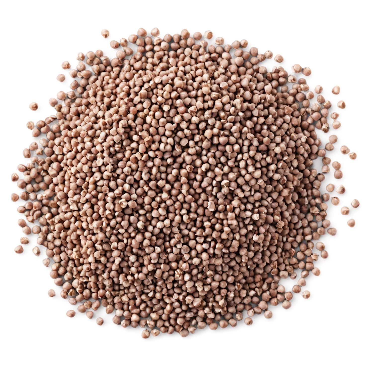 Buckwheat grains isolated on transparent background, #6516