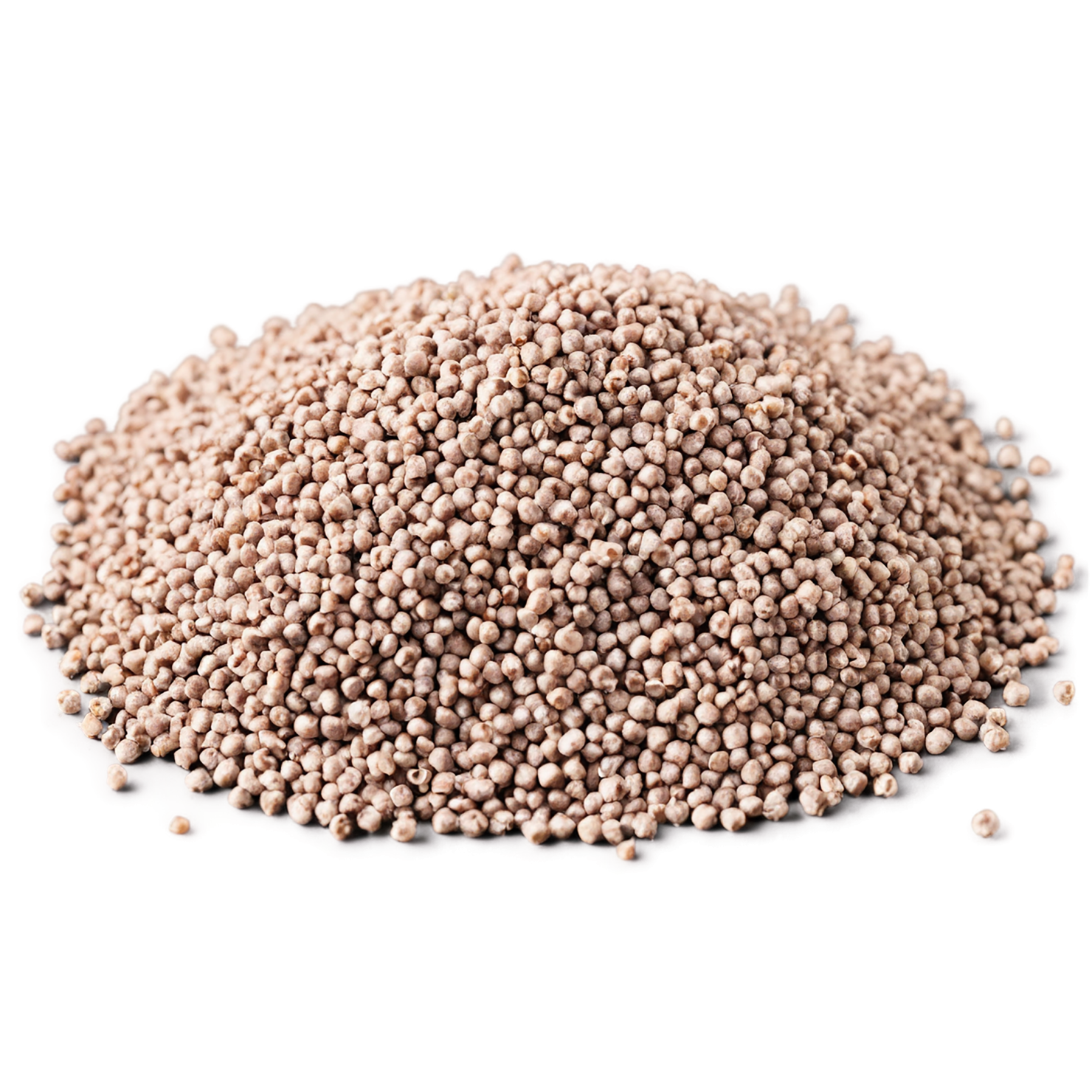 Buckwheat grains isolated on transparent background, #6518