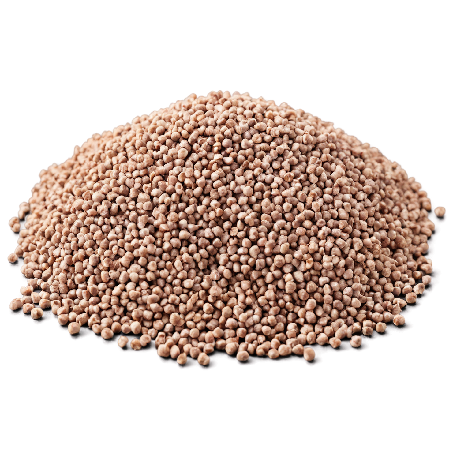 Buckwheat grains isolated on transparent background, #6520
