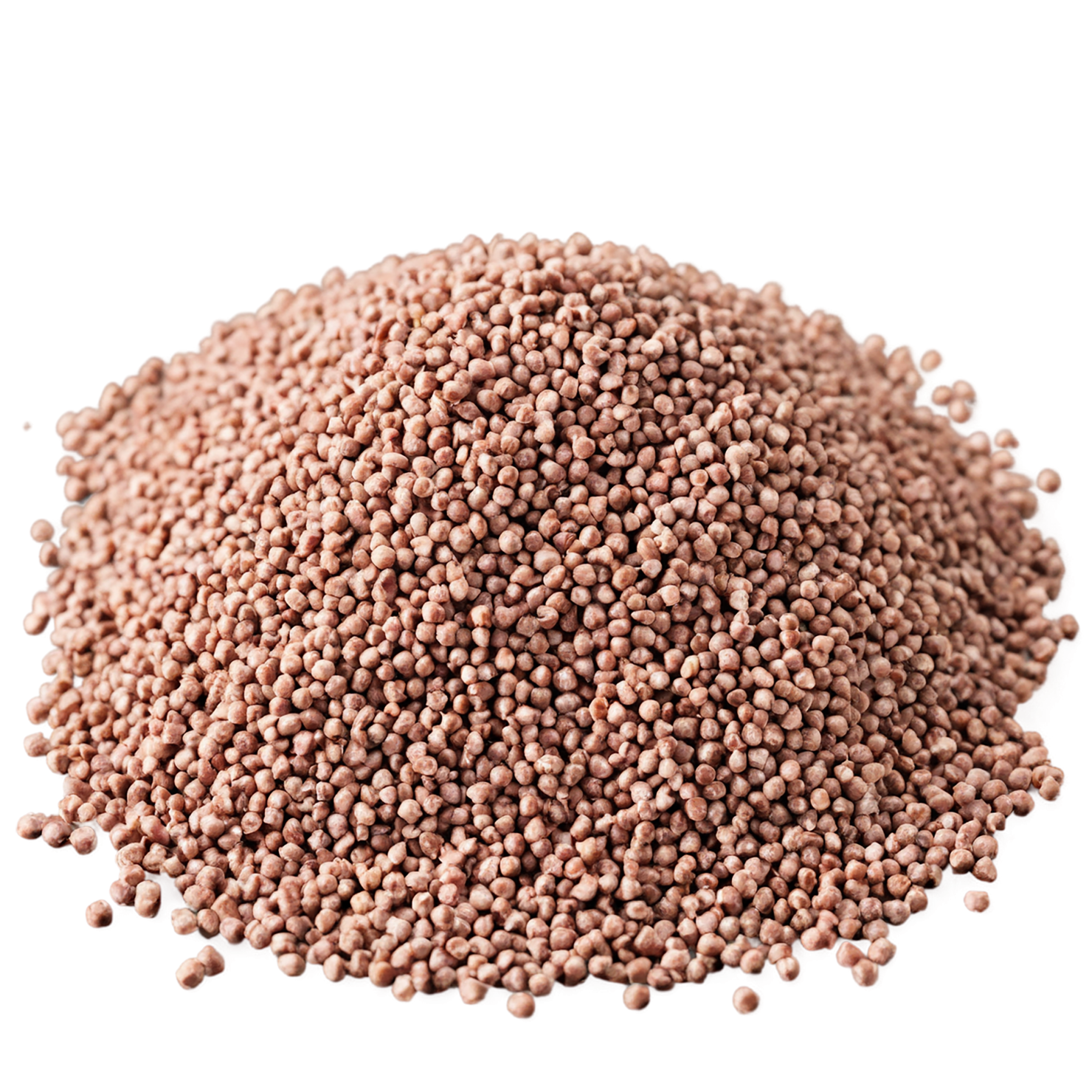 Buckwheat grains isolated on transparent background, #6522