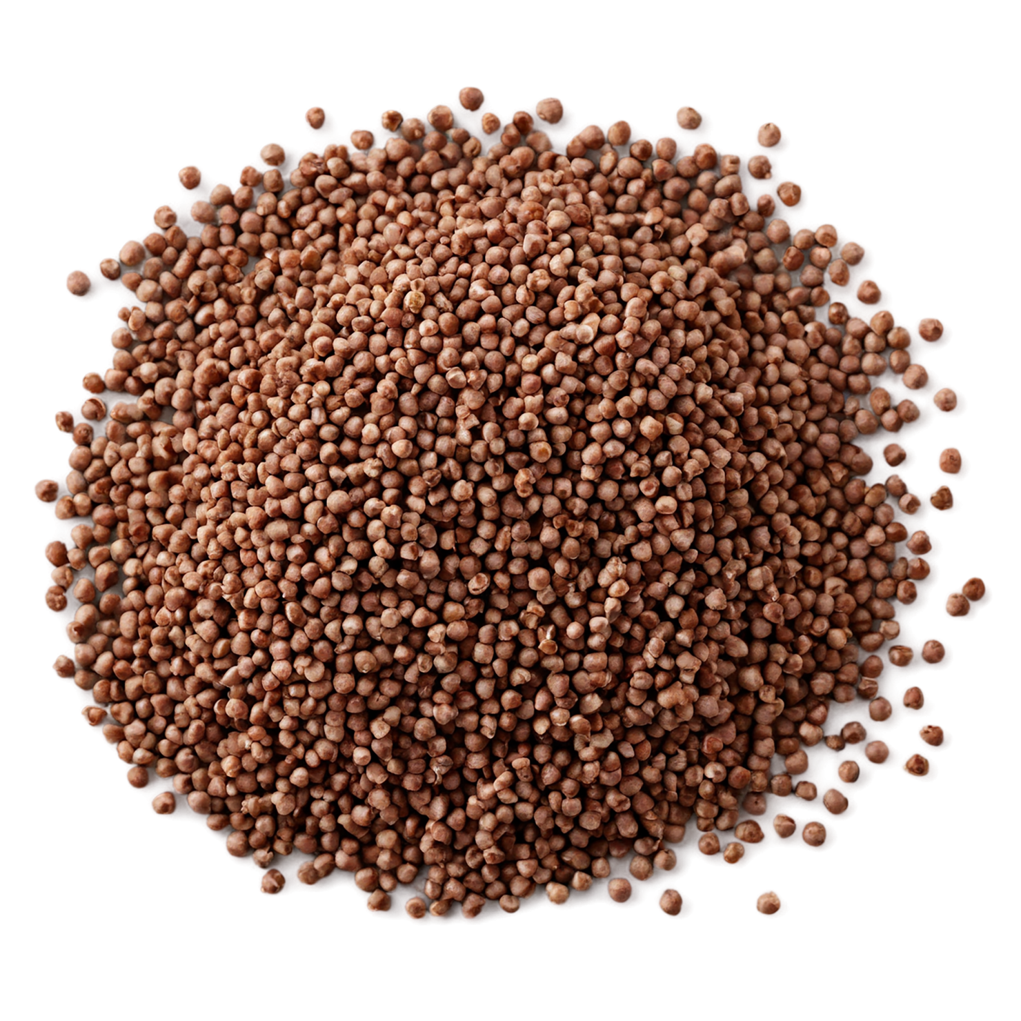 Buckwheat grains isolated on transparent background, #6524