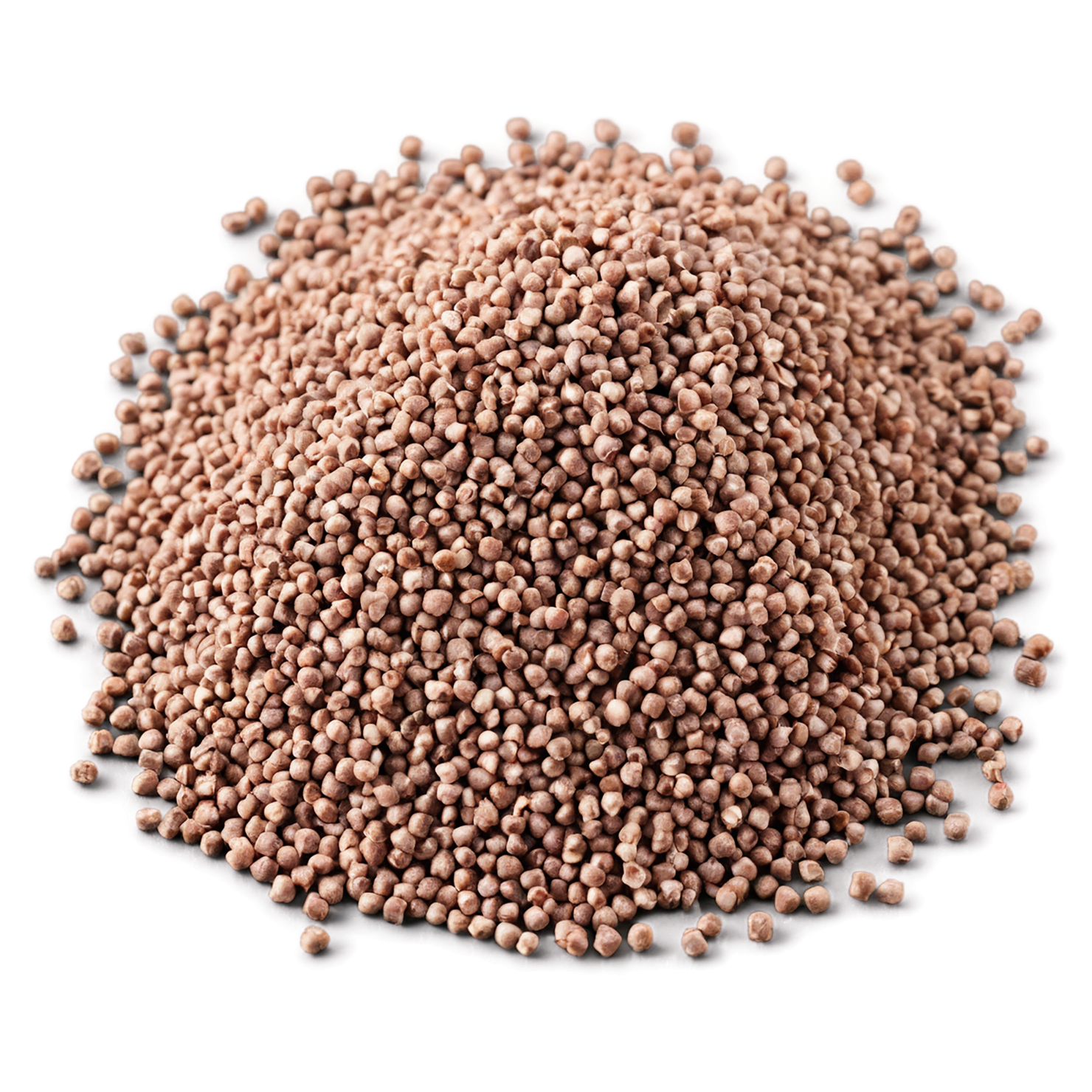 Buckwheat grains isolated on transparent background, #6528