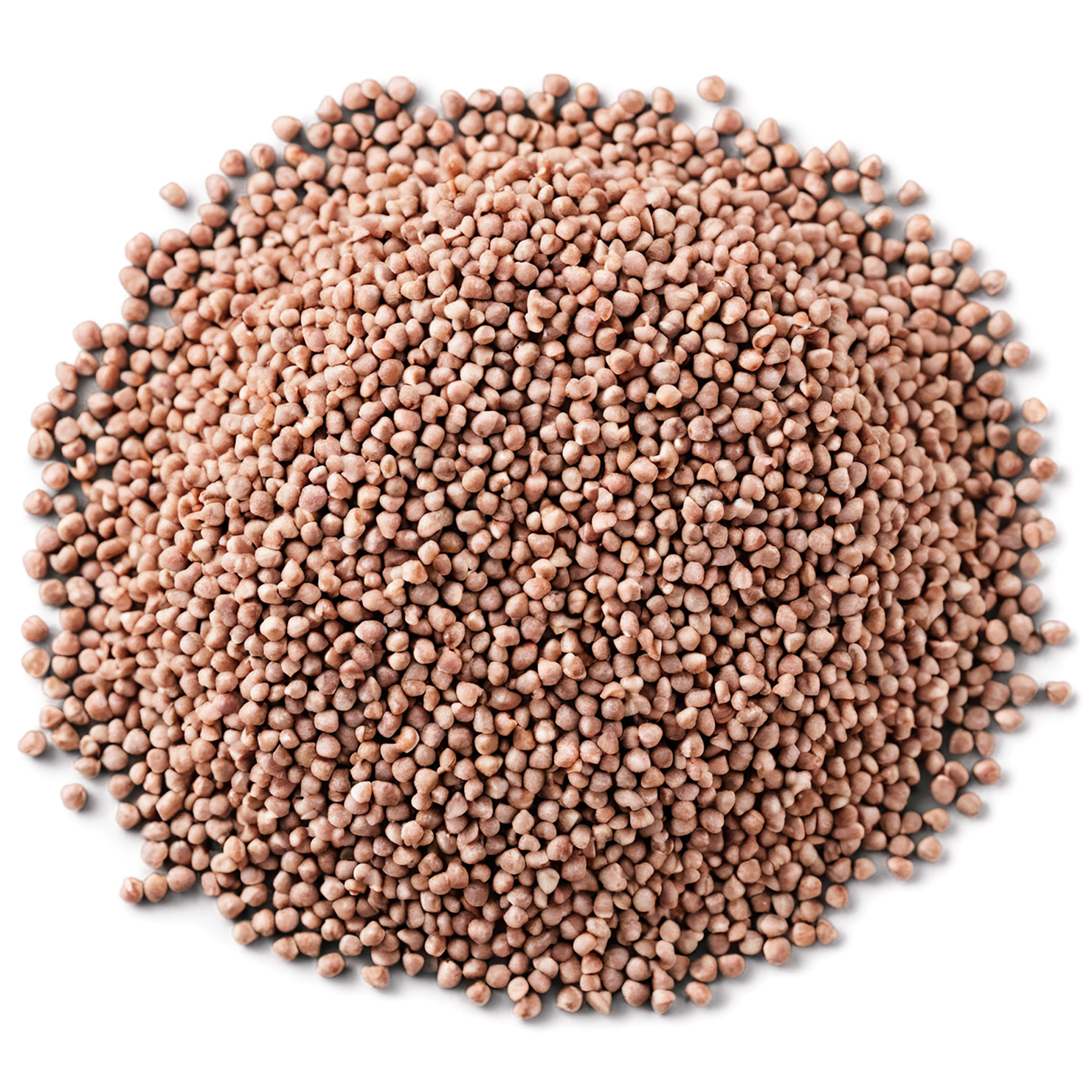 Buckwheat grains isolated on transparent background, #6533