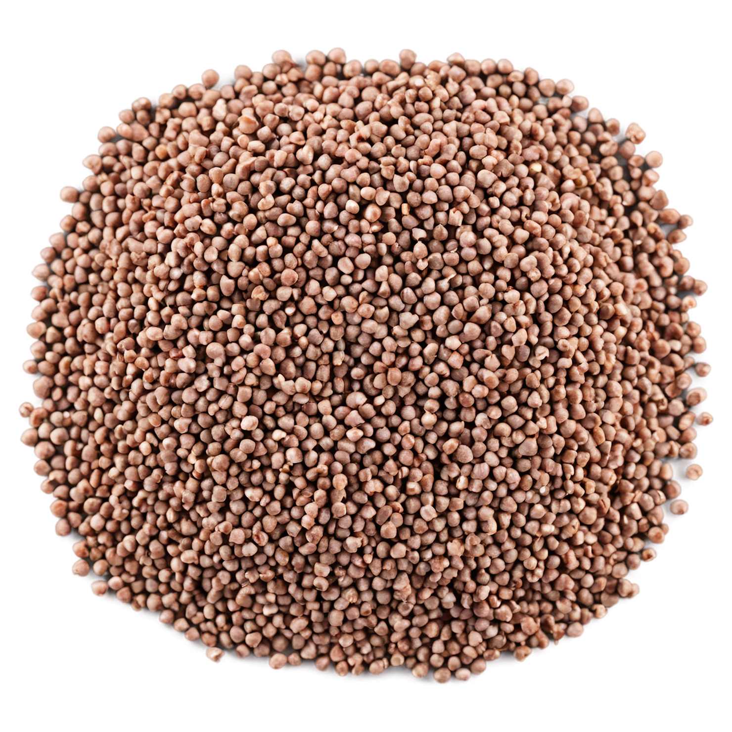 Buckwheat grains isolated on transparent background, #6536