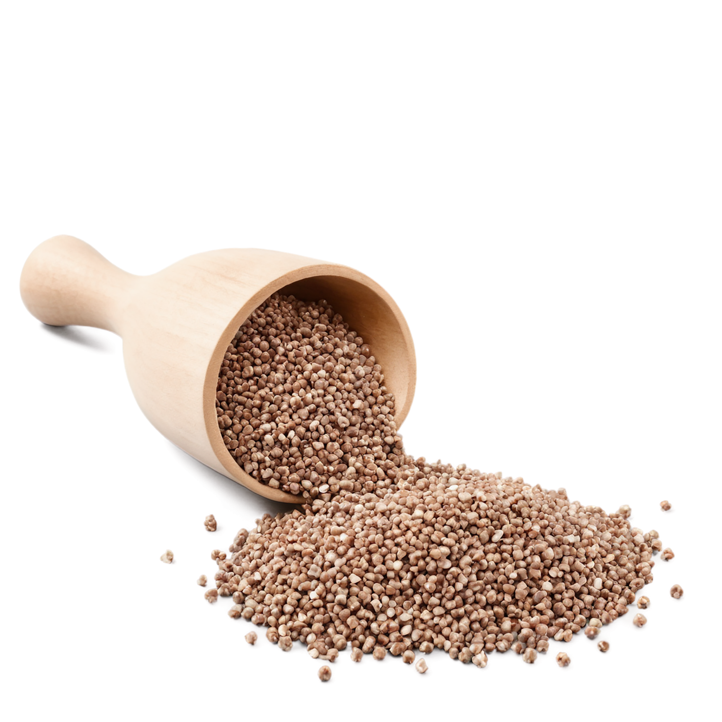 Buckwheat grains isolated on transparent background, #6538