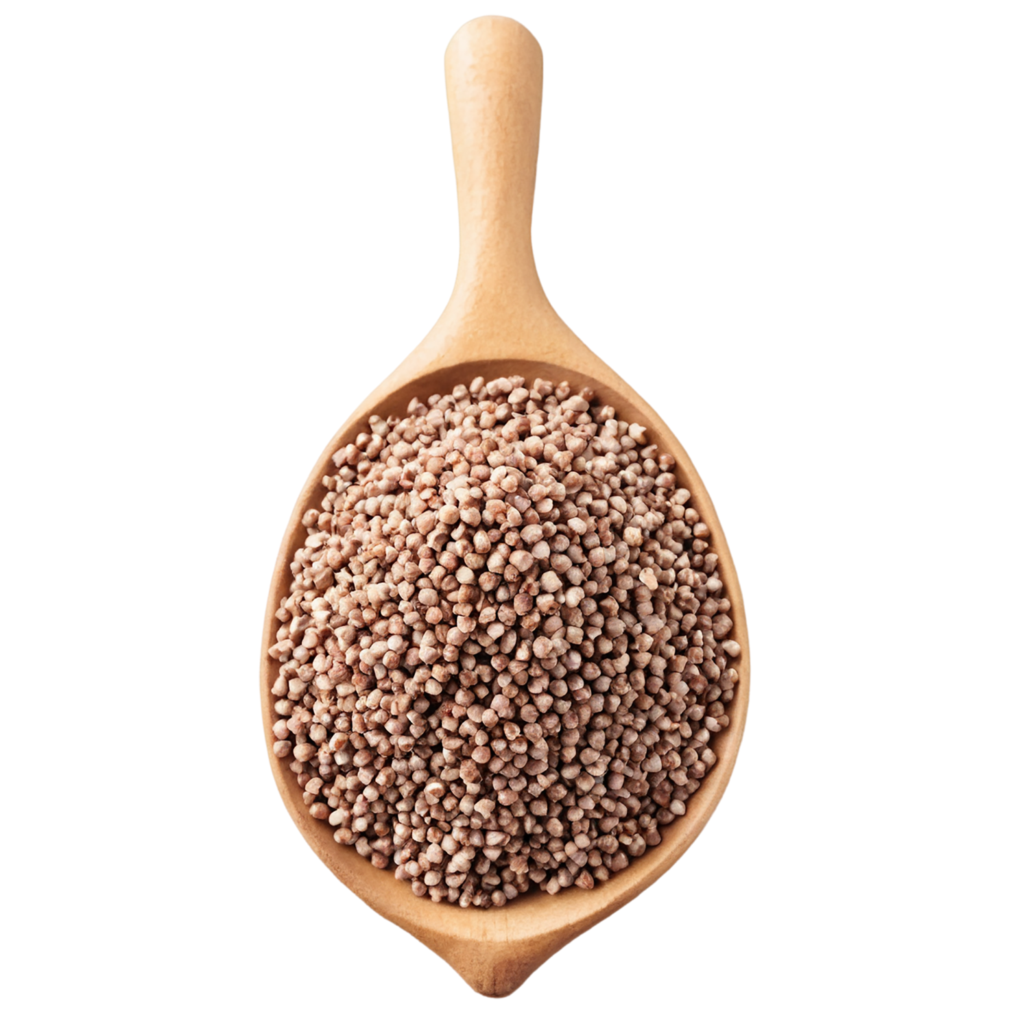 Buckwheat grains isolated on transparent background, #6539